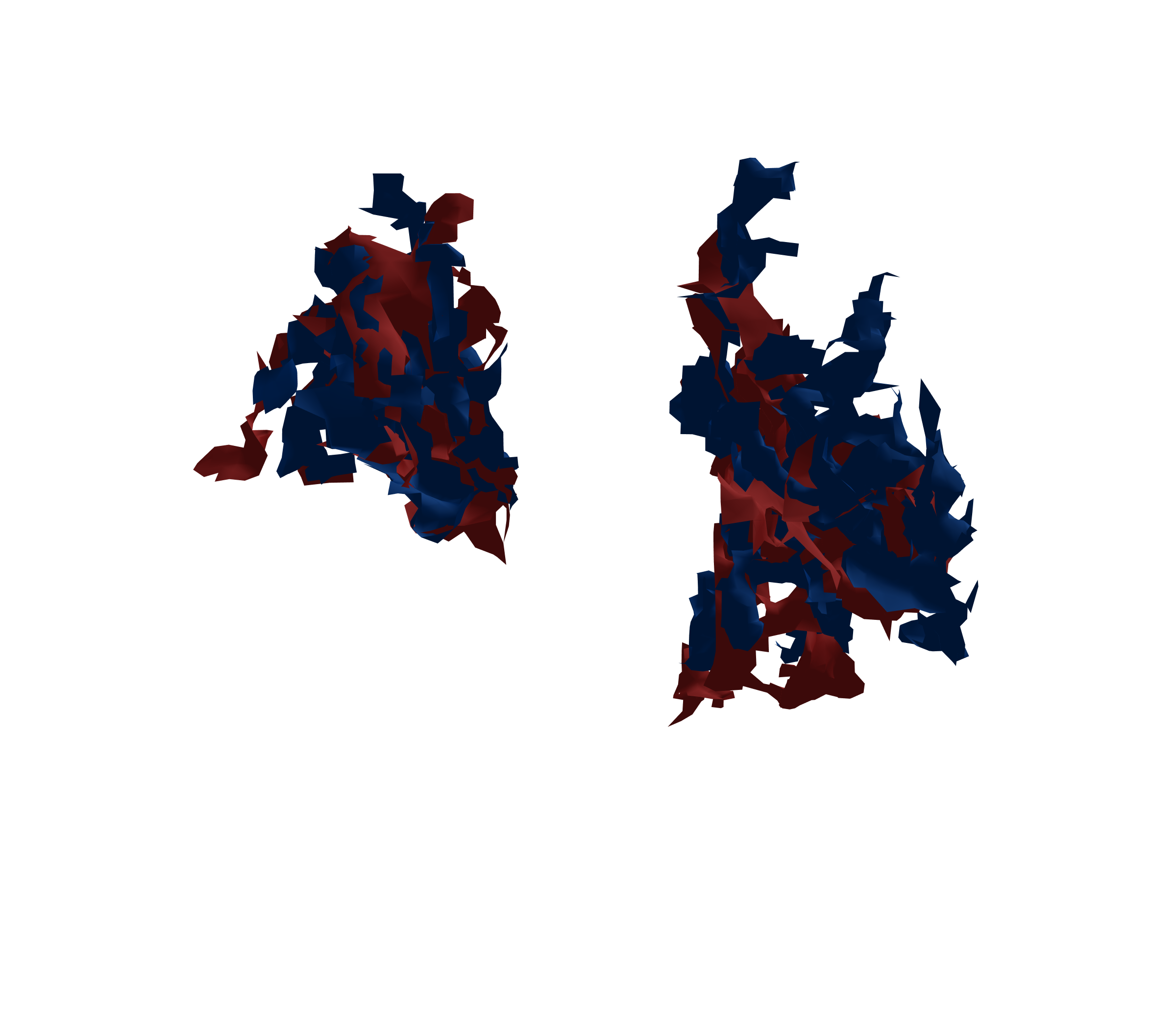 Surface Mesh - Back View