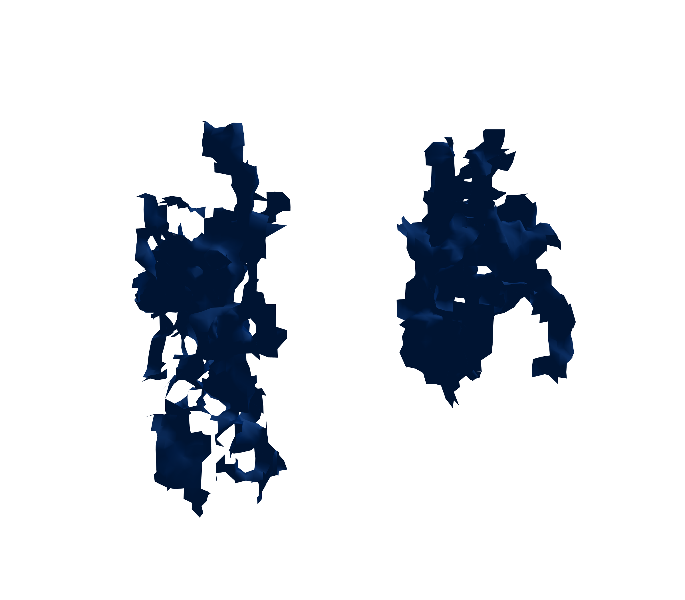 Surface Mesh (Inspiration) - Front View