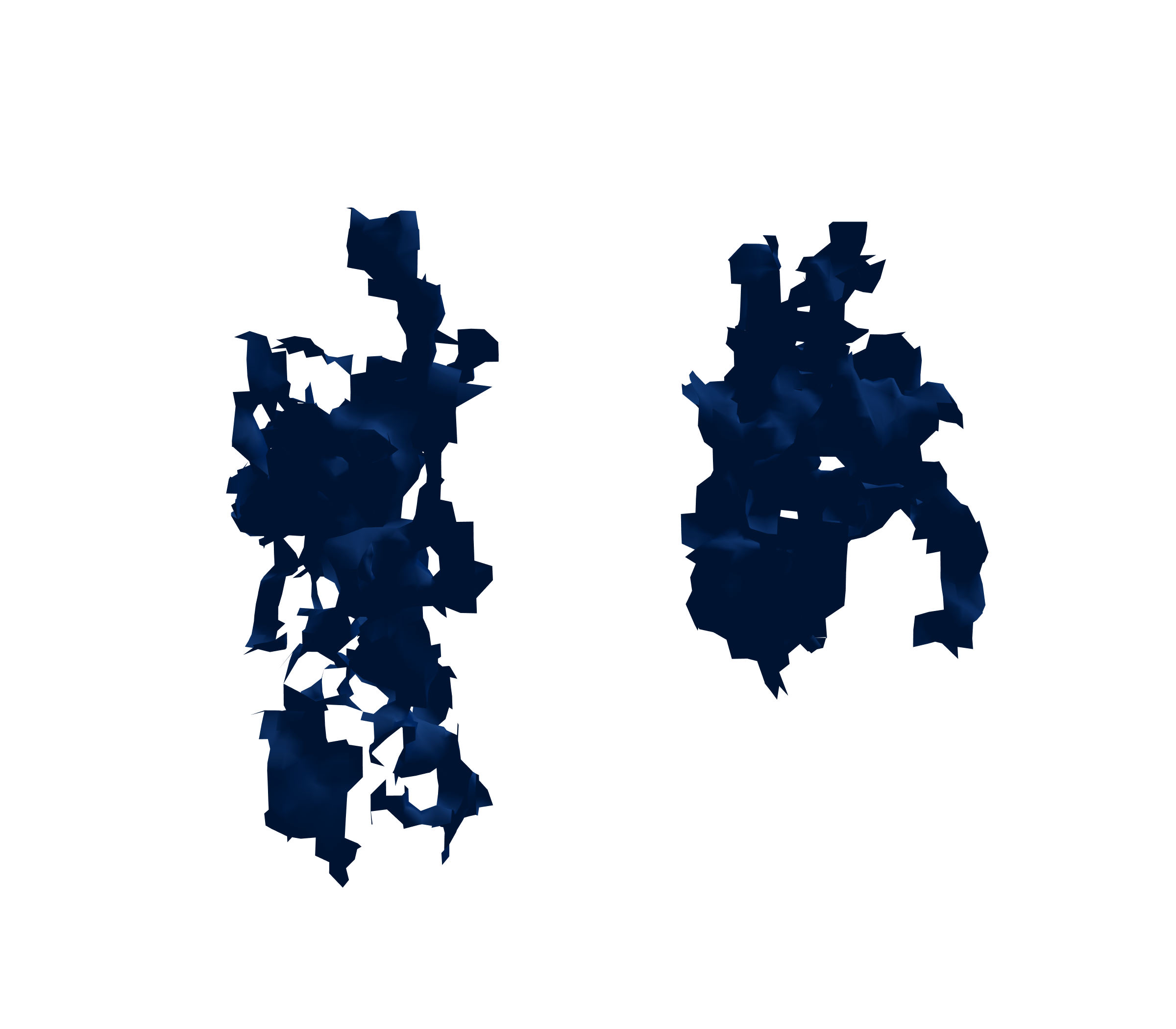 Surface Mesh (Inspiration) - Front View