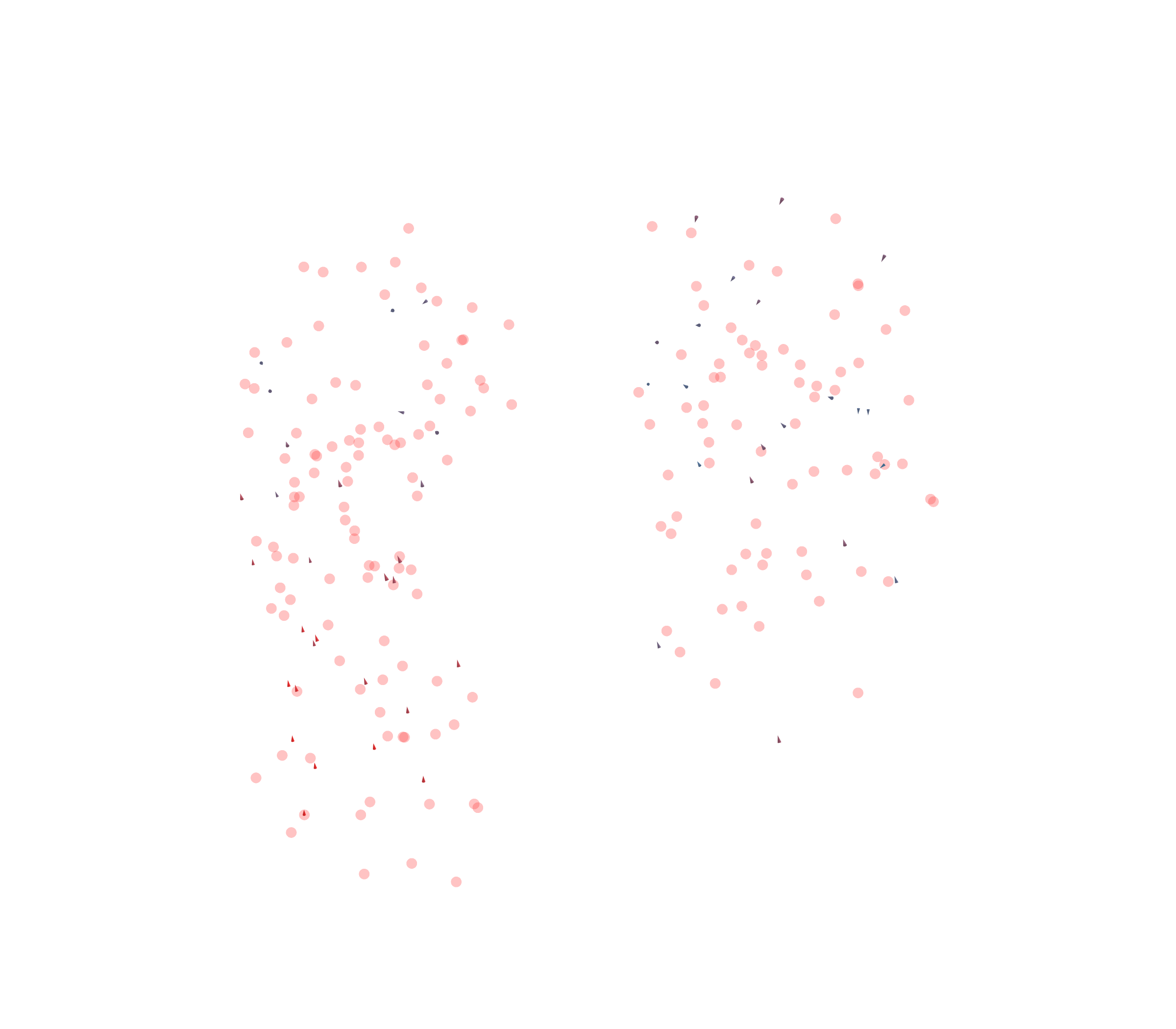 Displacement Vectors - Front View