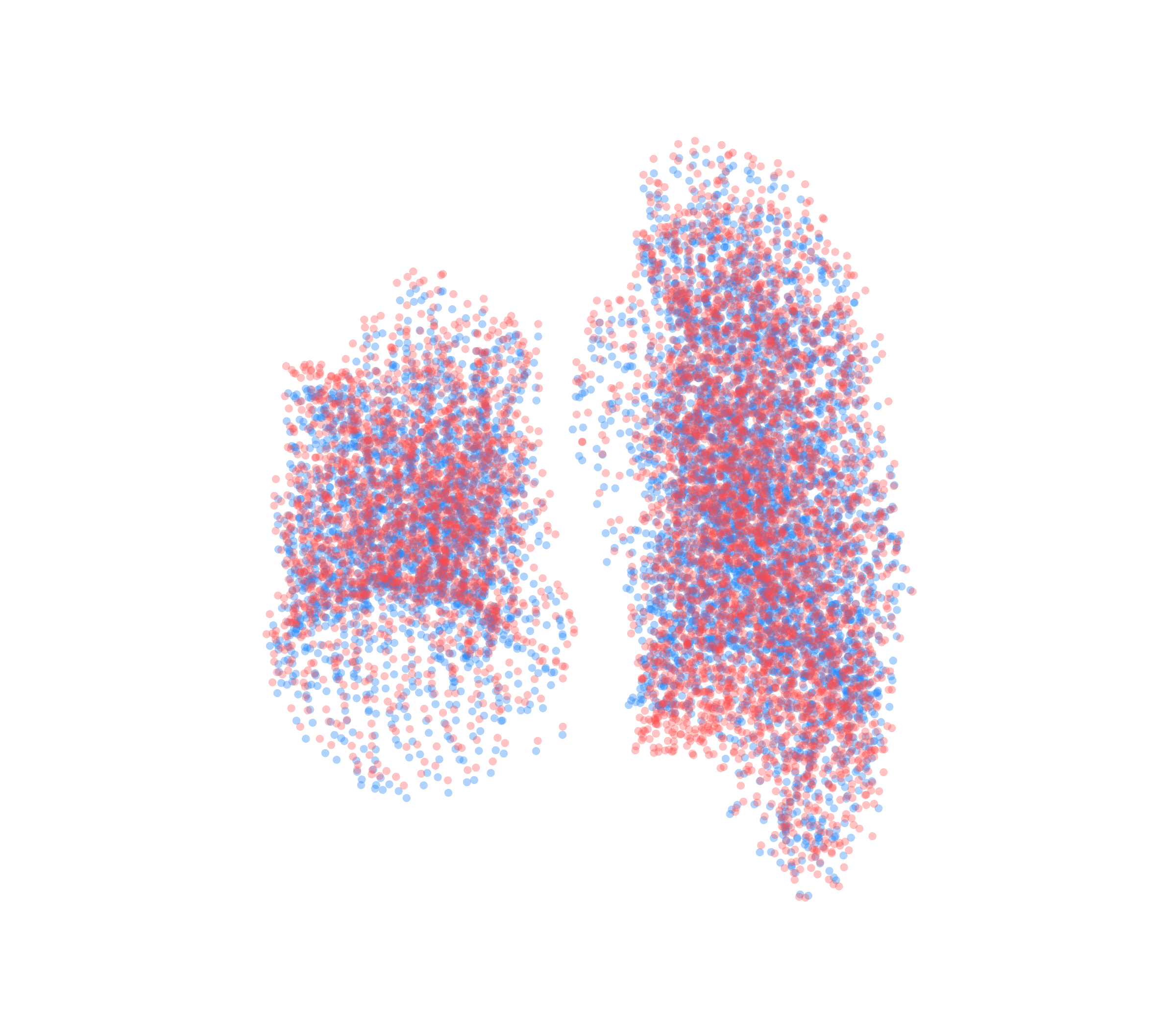 Point Cloud - Back View