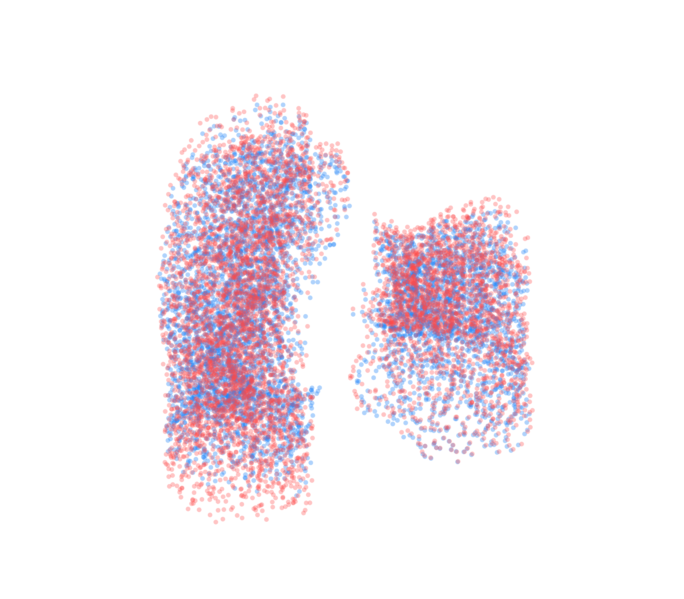 Point Cloud - Front View