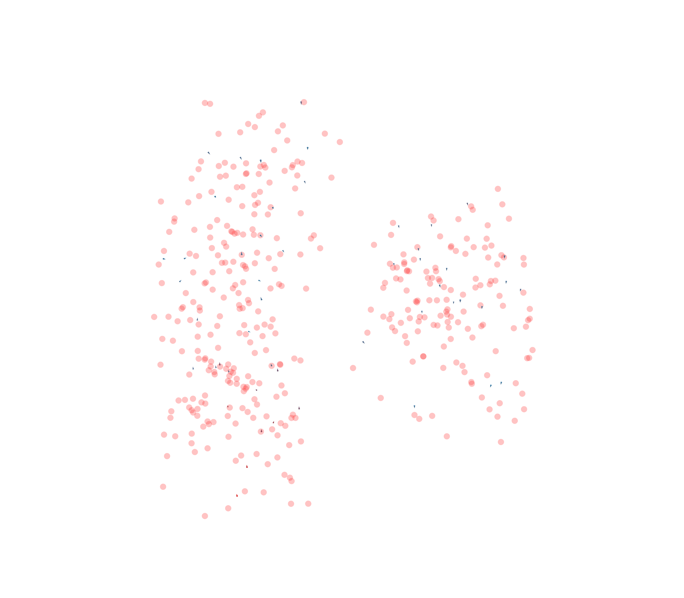 Displacement Vectors - Front View