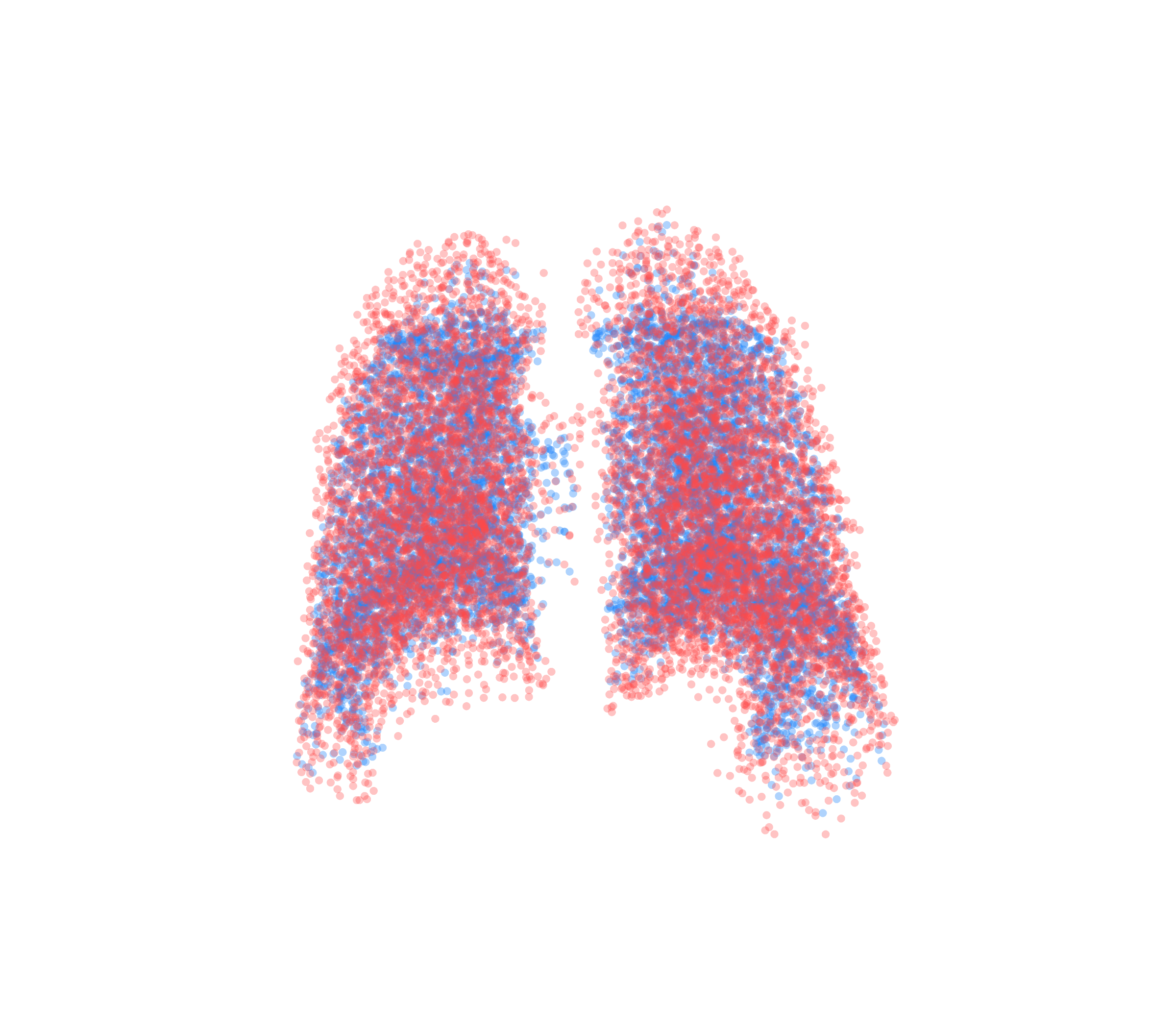 Point Cloud - Back View