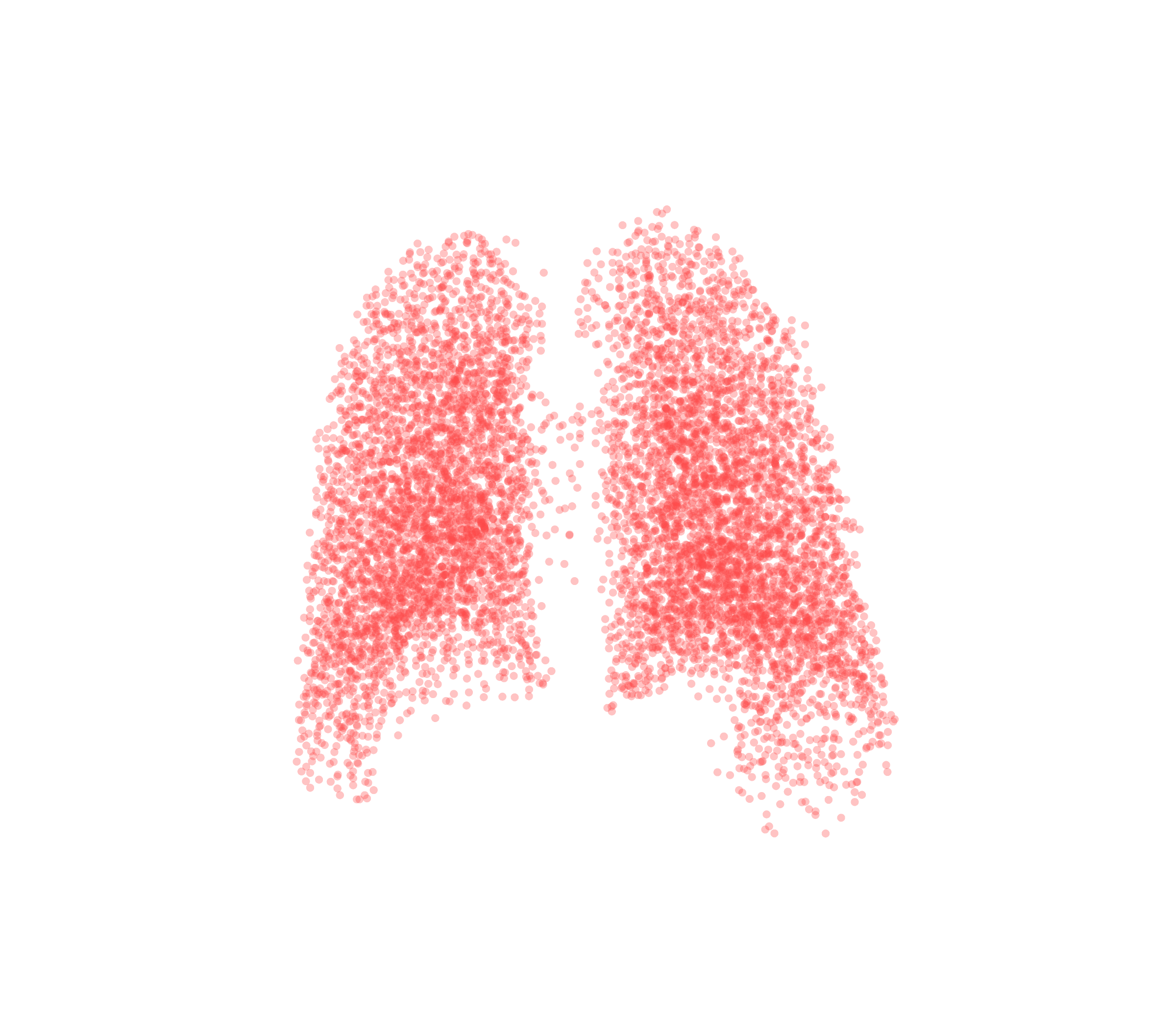 Point Cloud (Expiration) - Back View