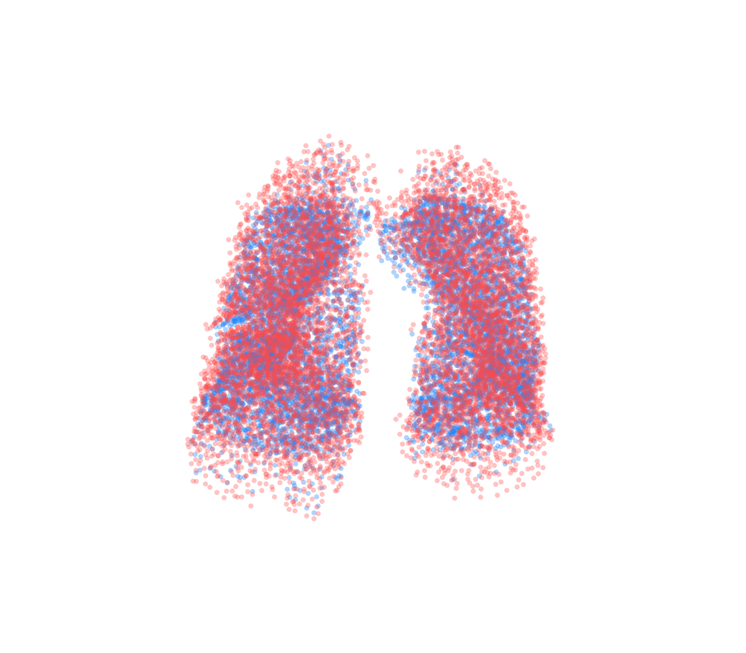 Point Cloud - Front View