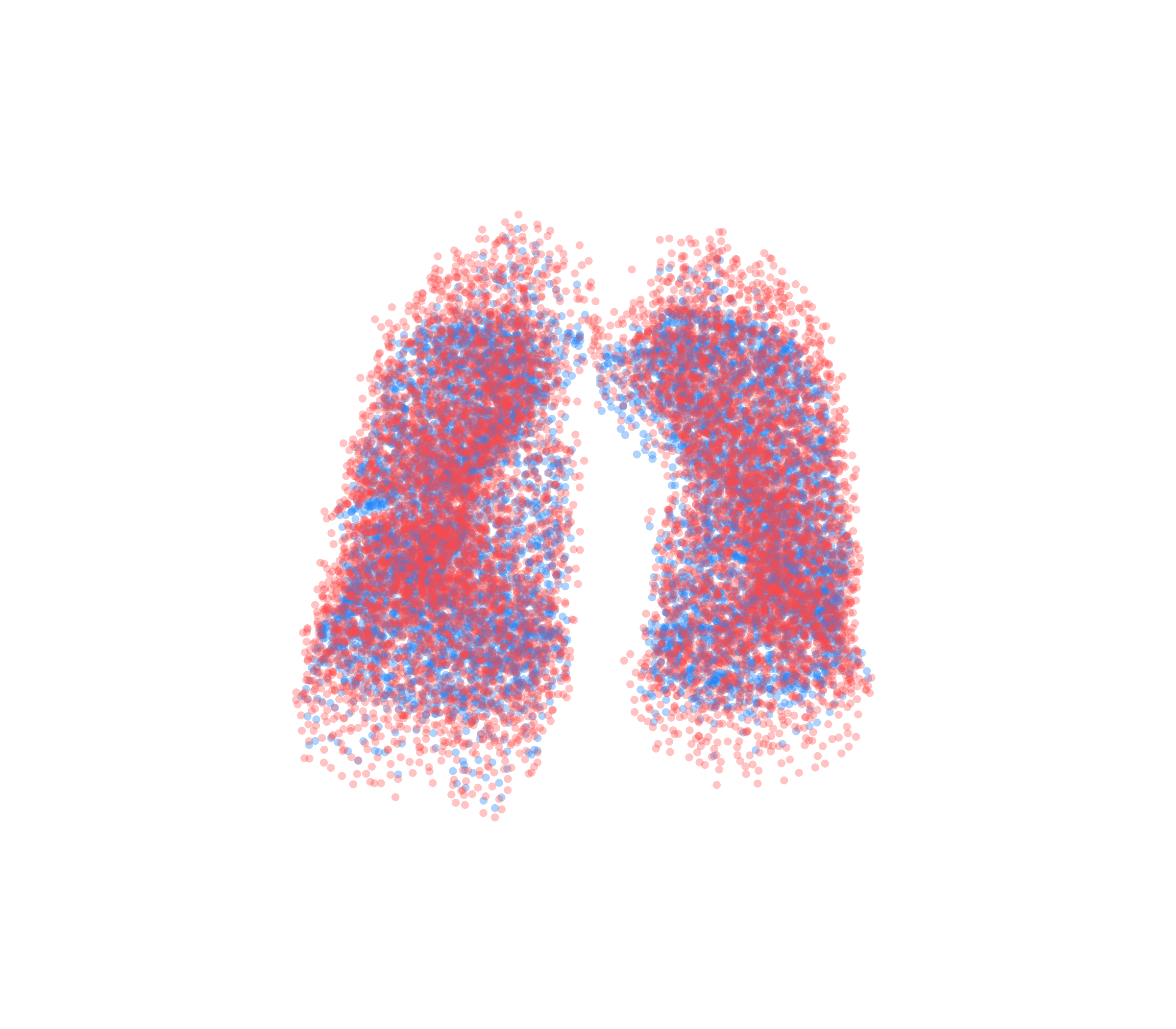 Point Cloud - Front View