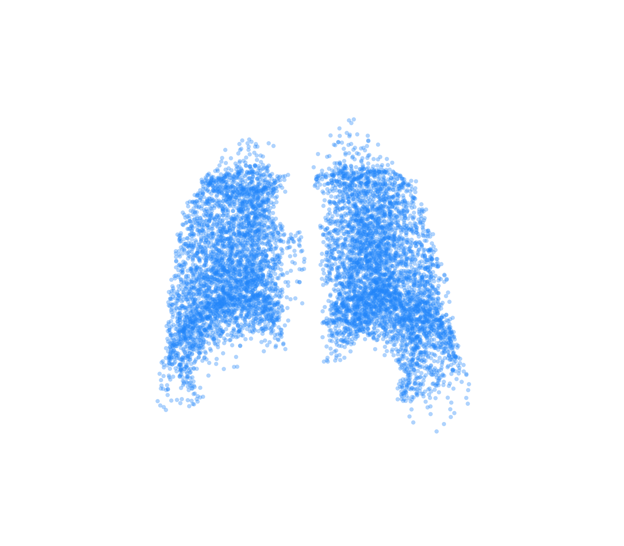 Point Cloud (Inspiration) - Back View