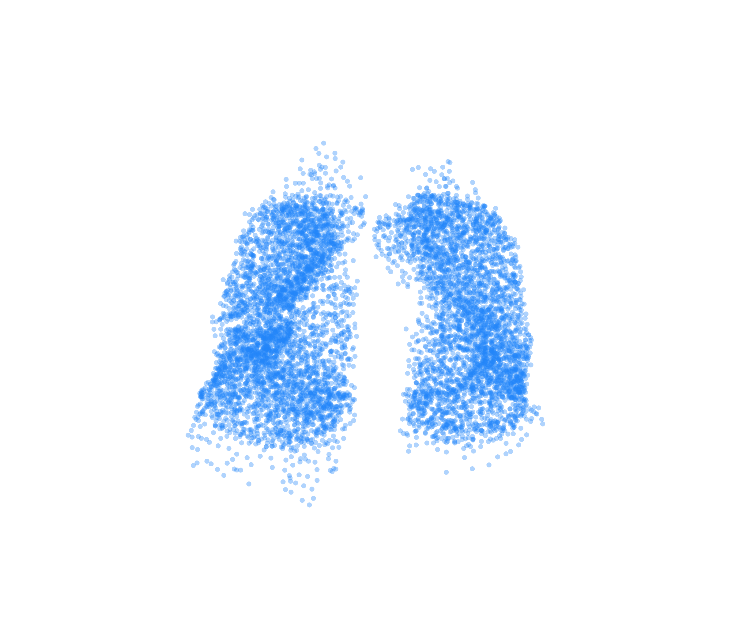 Point Cloud (Inspiration) - Front View