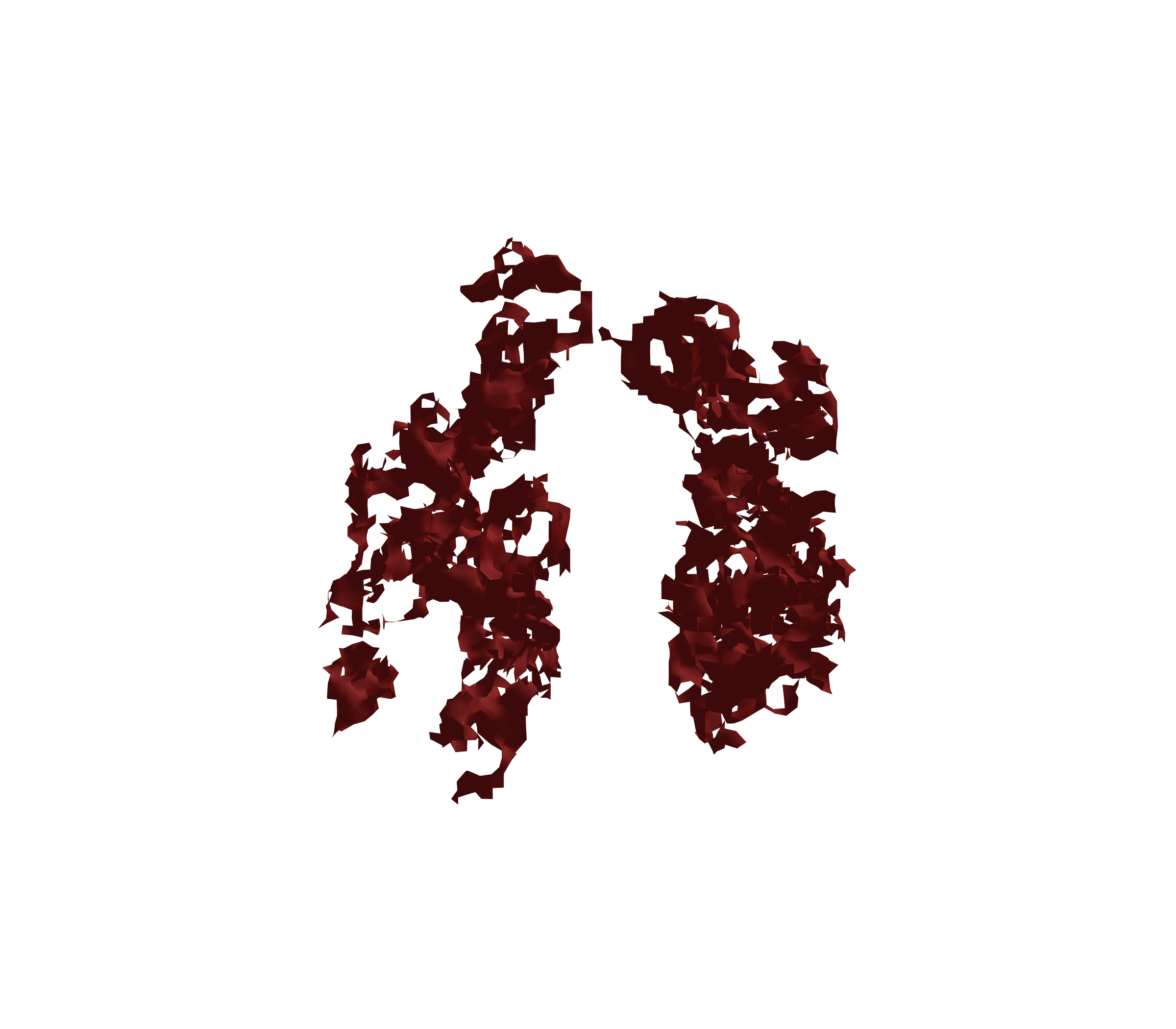 Surface Mesh (Expiration) - Front View