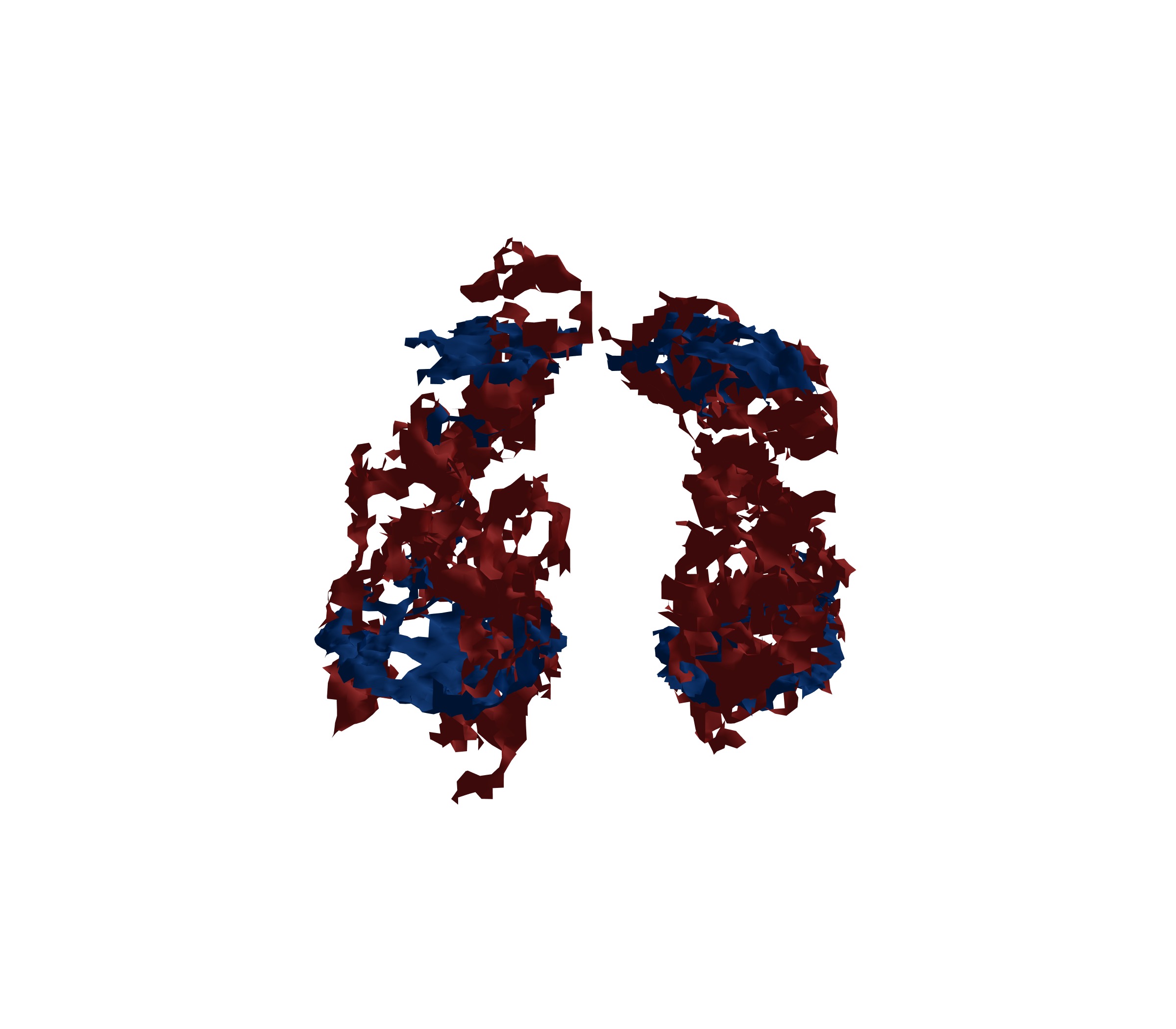 Surface Mesh - Front View