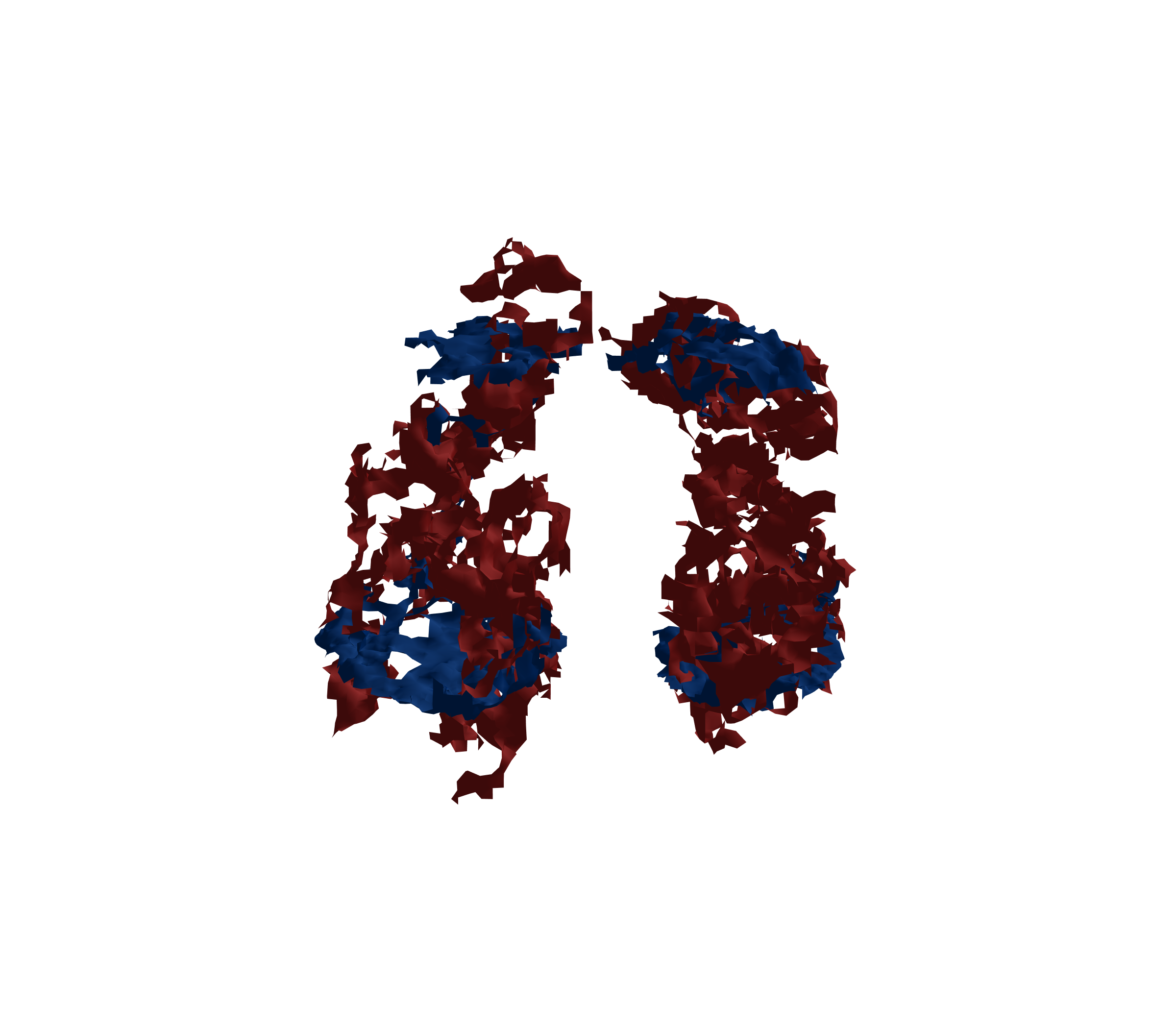 Surface Mesh - Front View