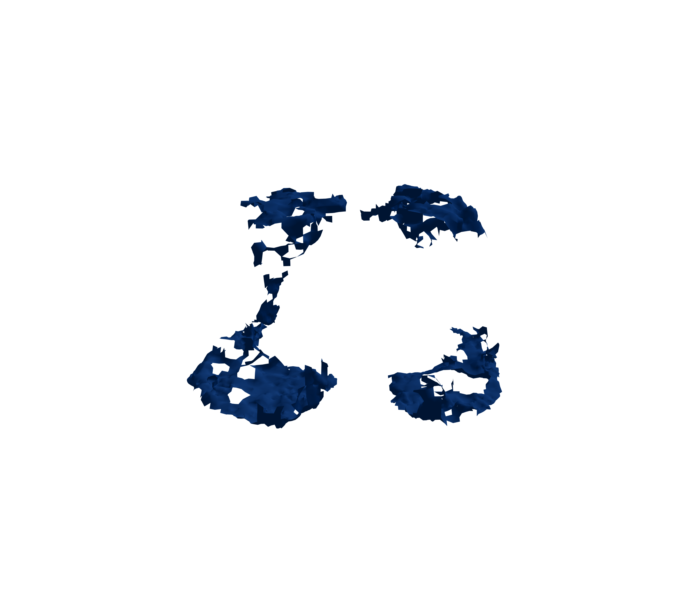 Surface Mesh (Inspiration) - Front View