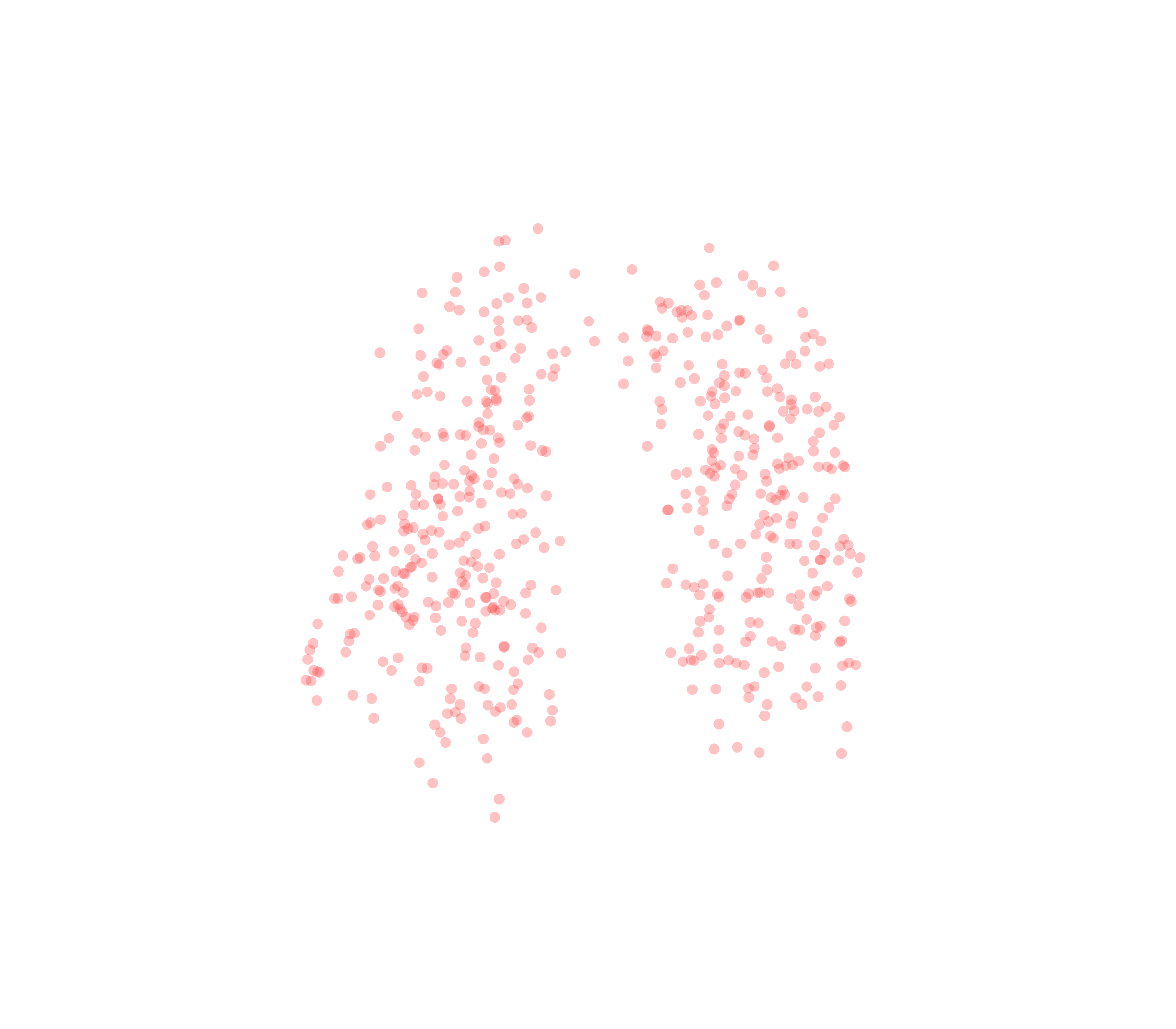 Displacement Vectors (Expiration) - Front View
