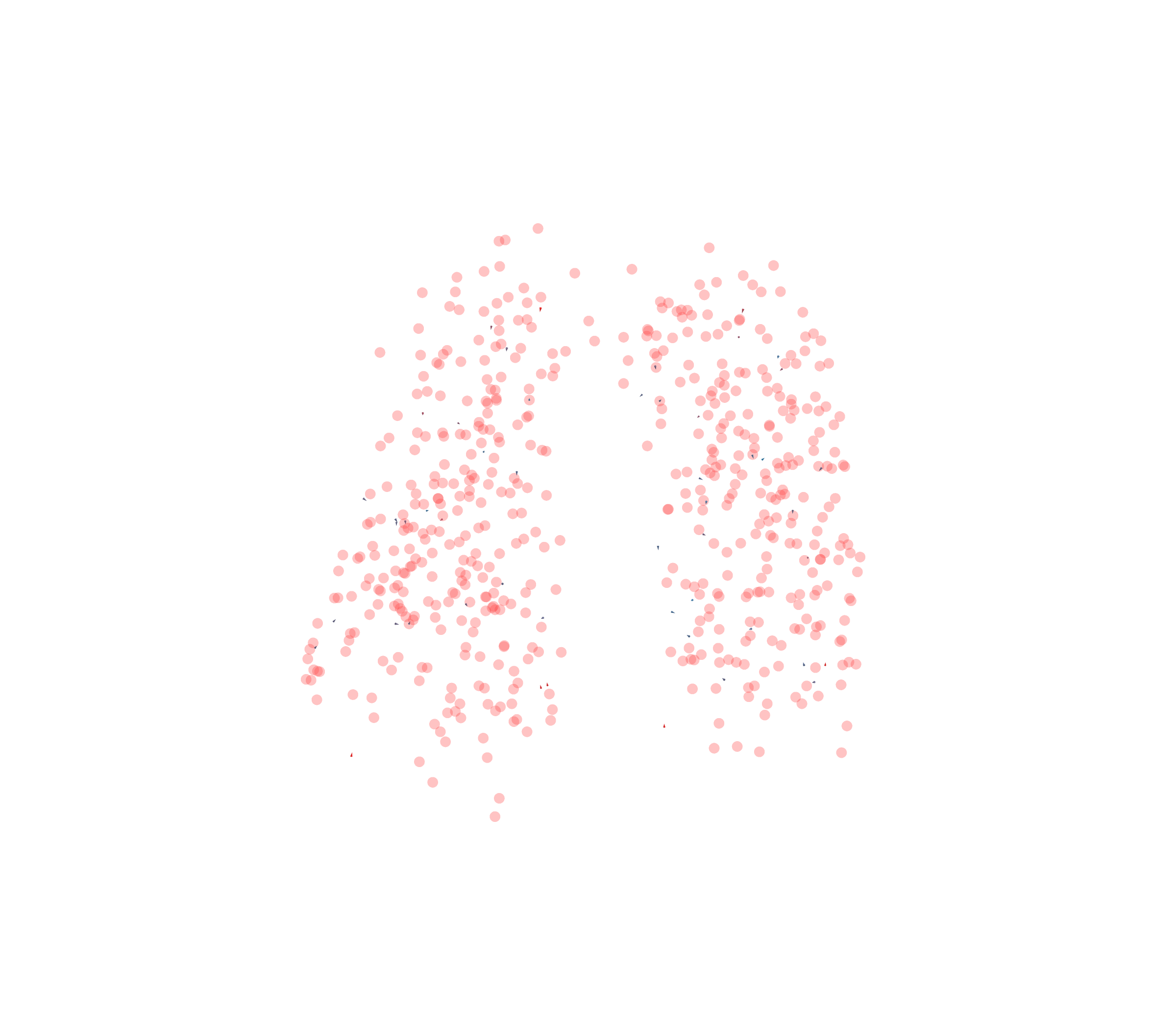 Displacement Vectors - Front View