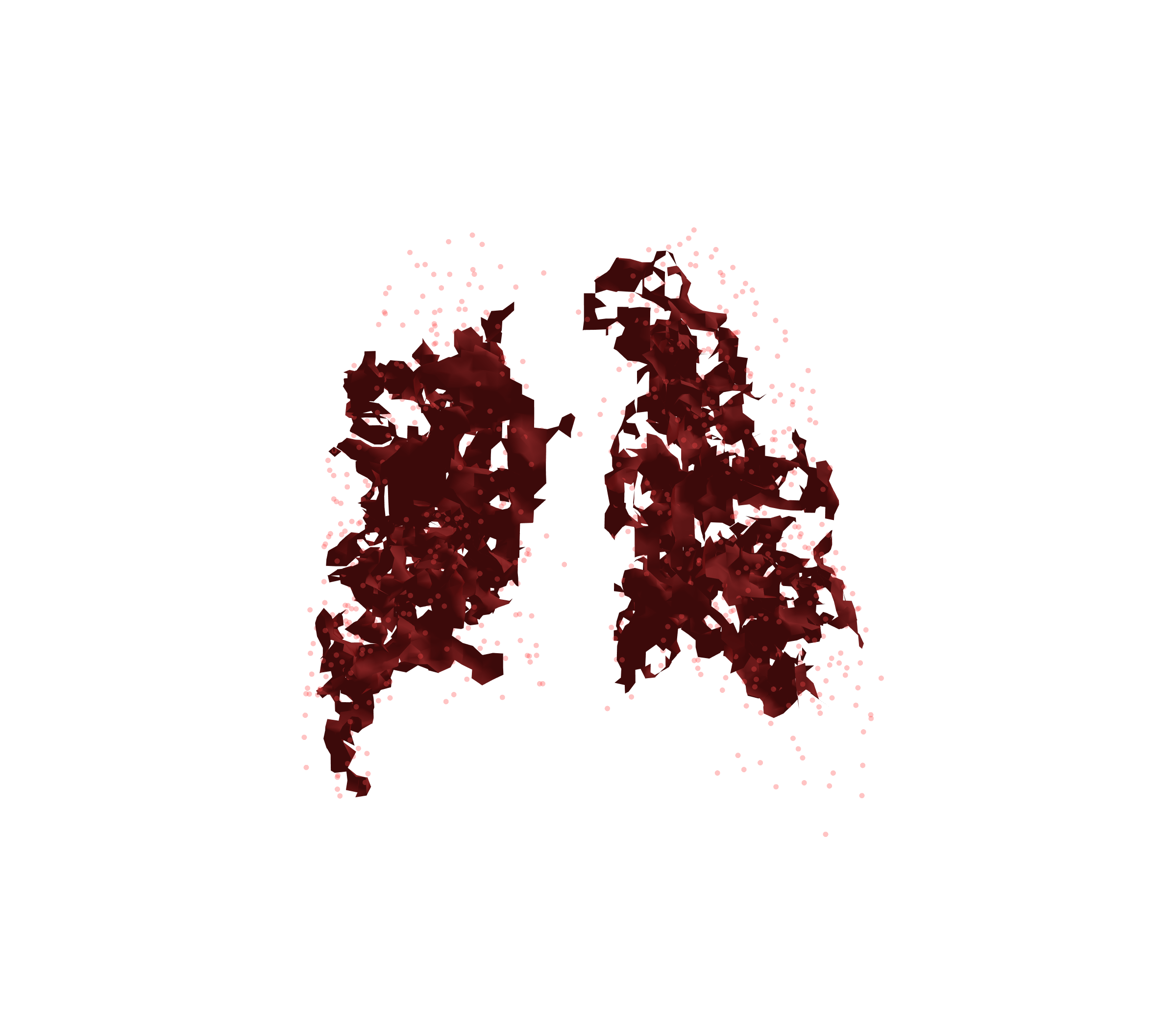 Combined Visualization (Expiration) - Back View