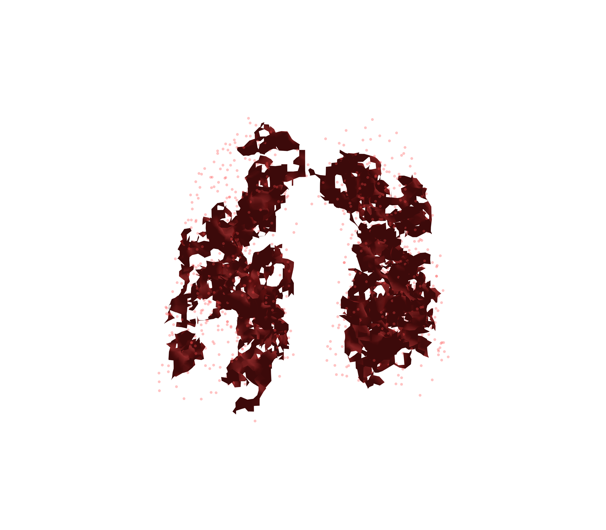 Combined Visualization (Expiration) - Front View