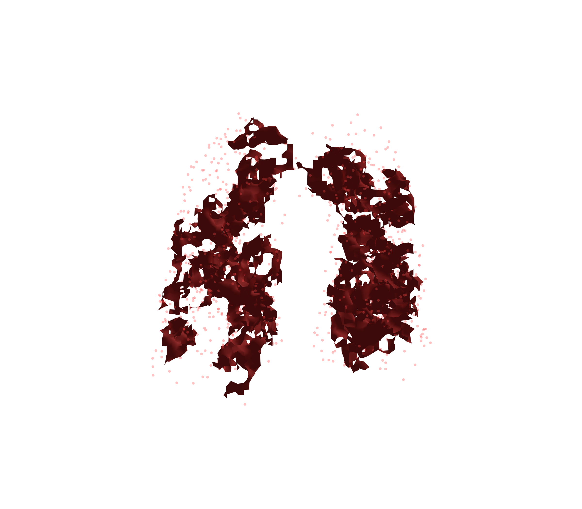 Combined Visualization (Expiration) - Front View