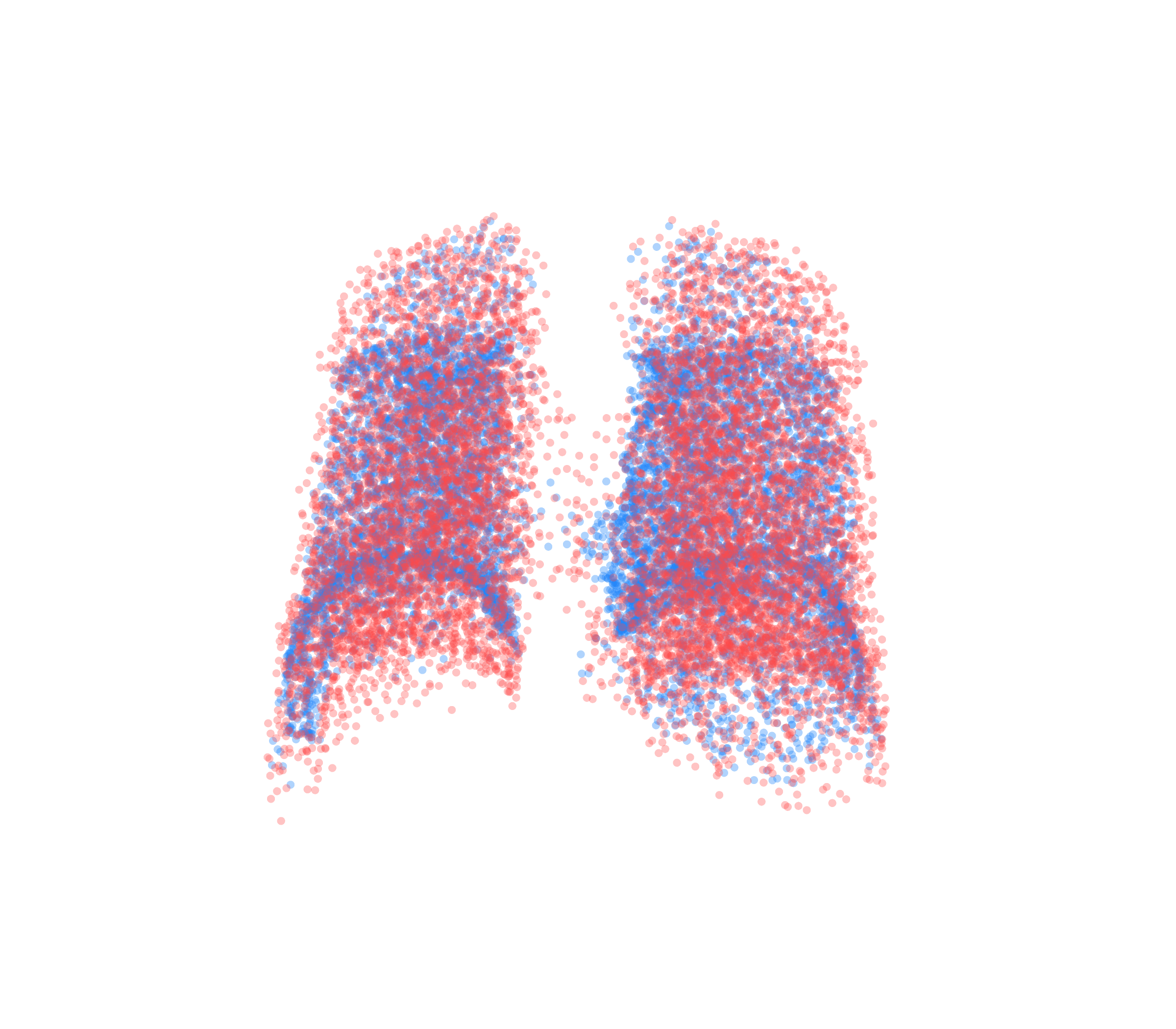 Point Cloud - Back View