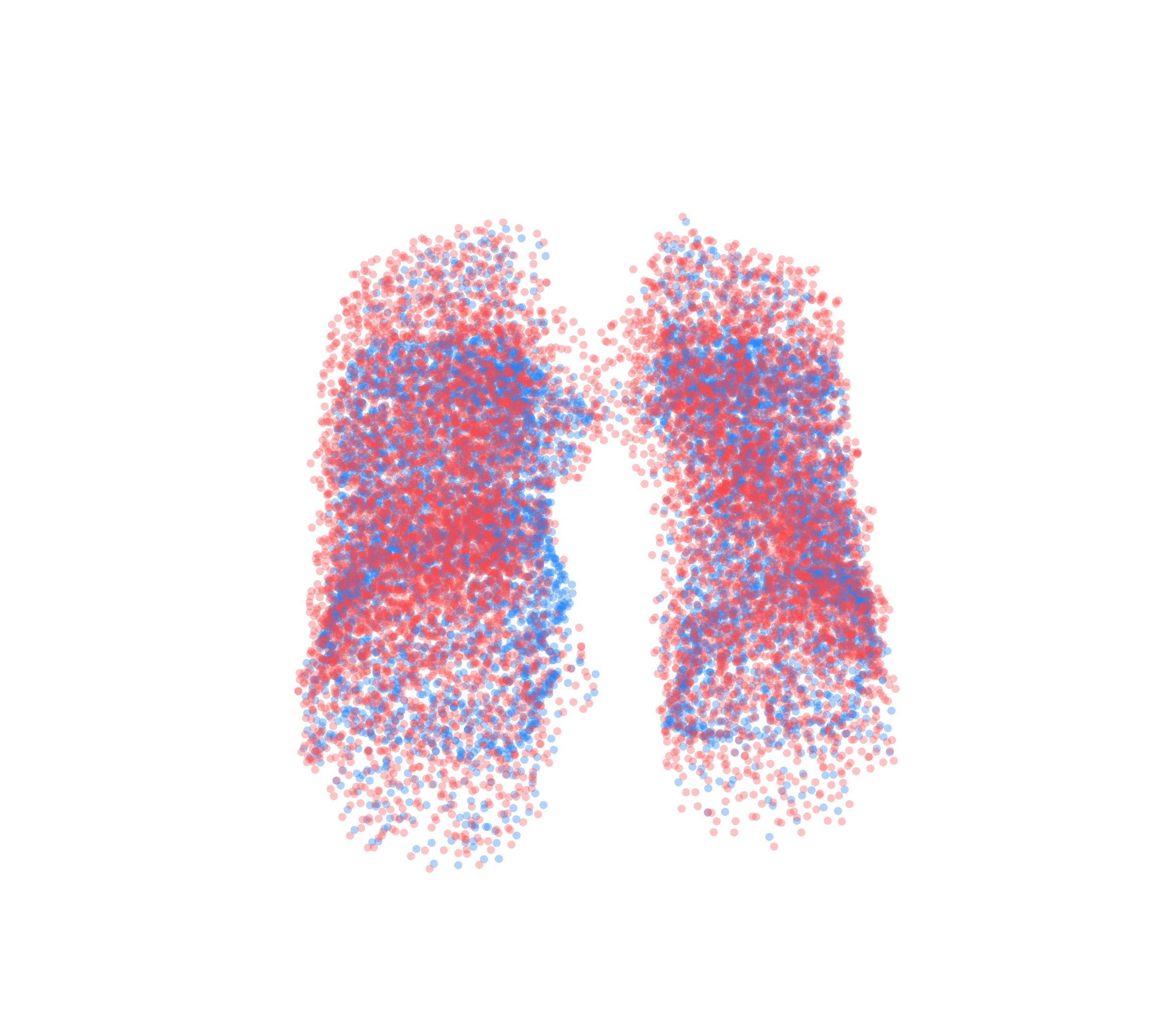 Point Cloud - Front View