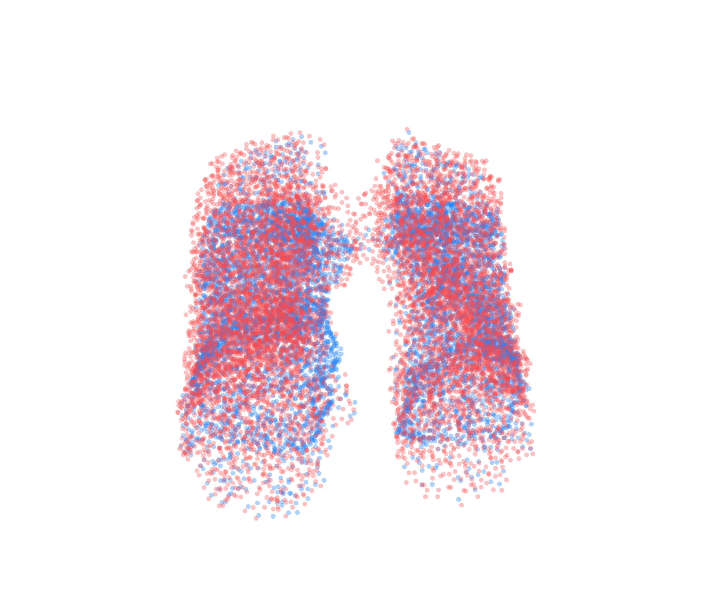 Point Cloud - Front View
