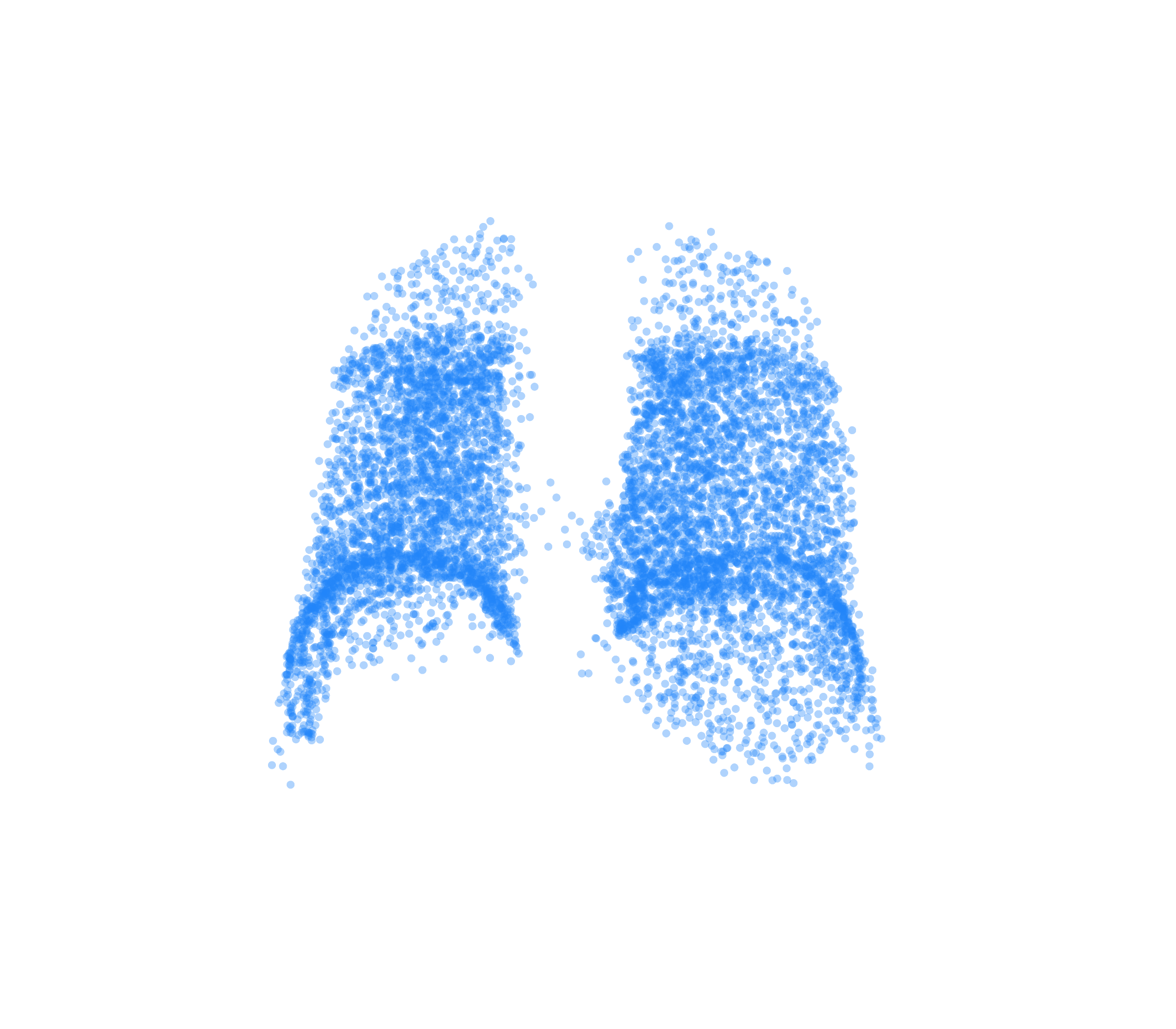 Point Cloud (Inspiration) - Back View