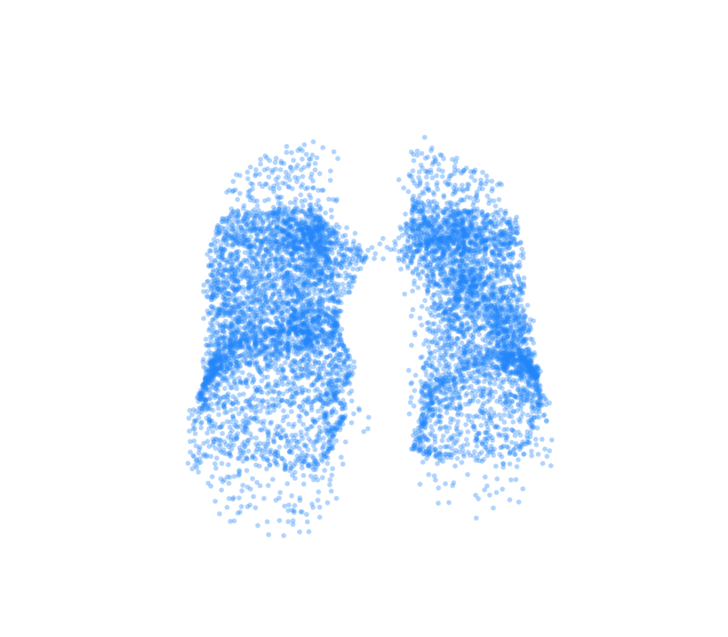 Point Cloud (Inspiration) - Front View