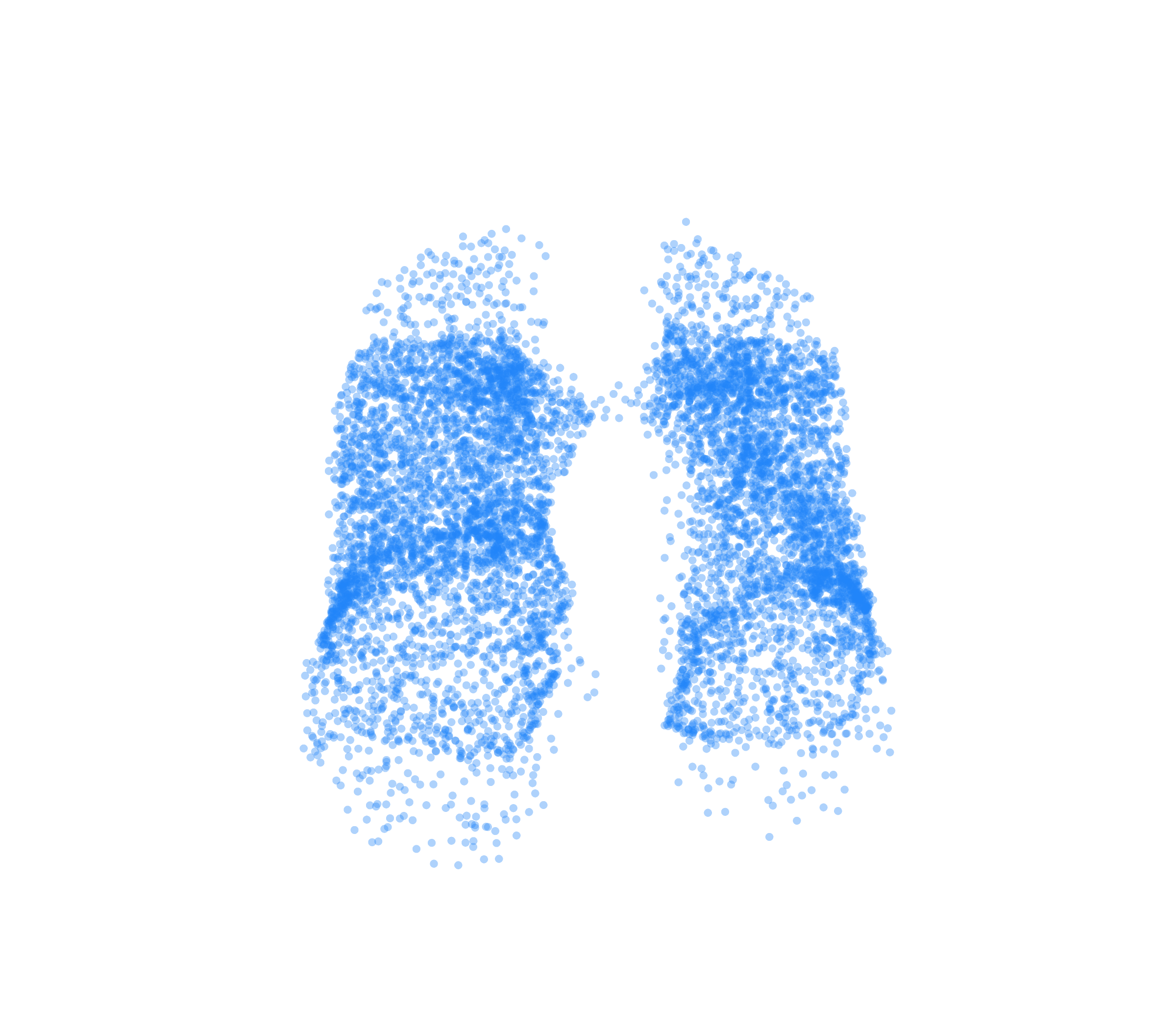 Point Cloud (Inspiration) - Front View