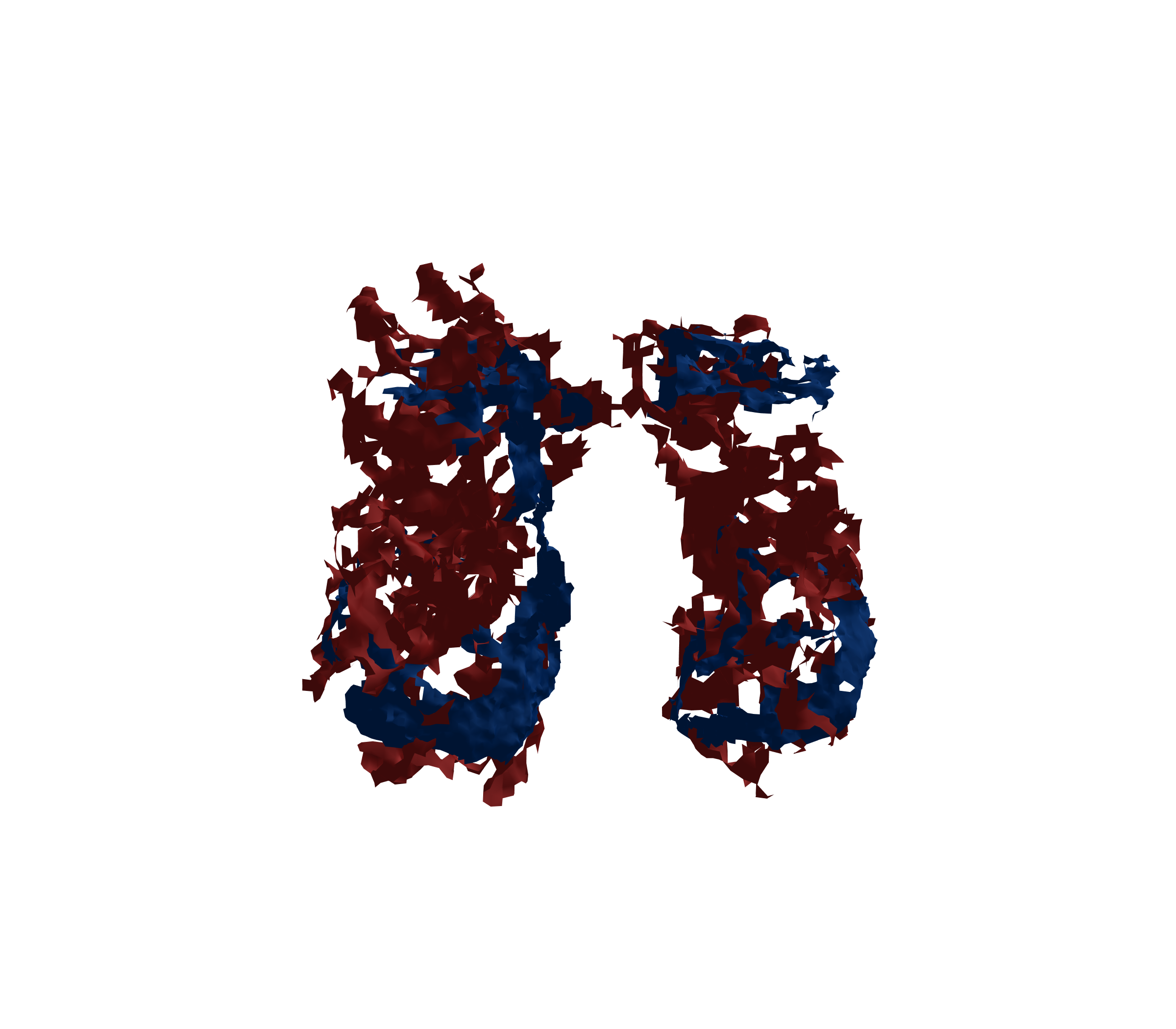 Surface Mesh - Front View