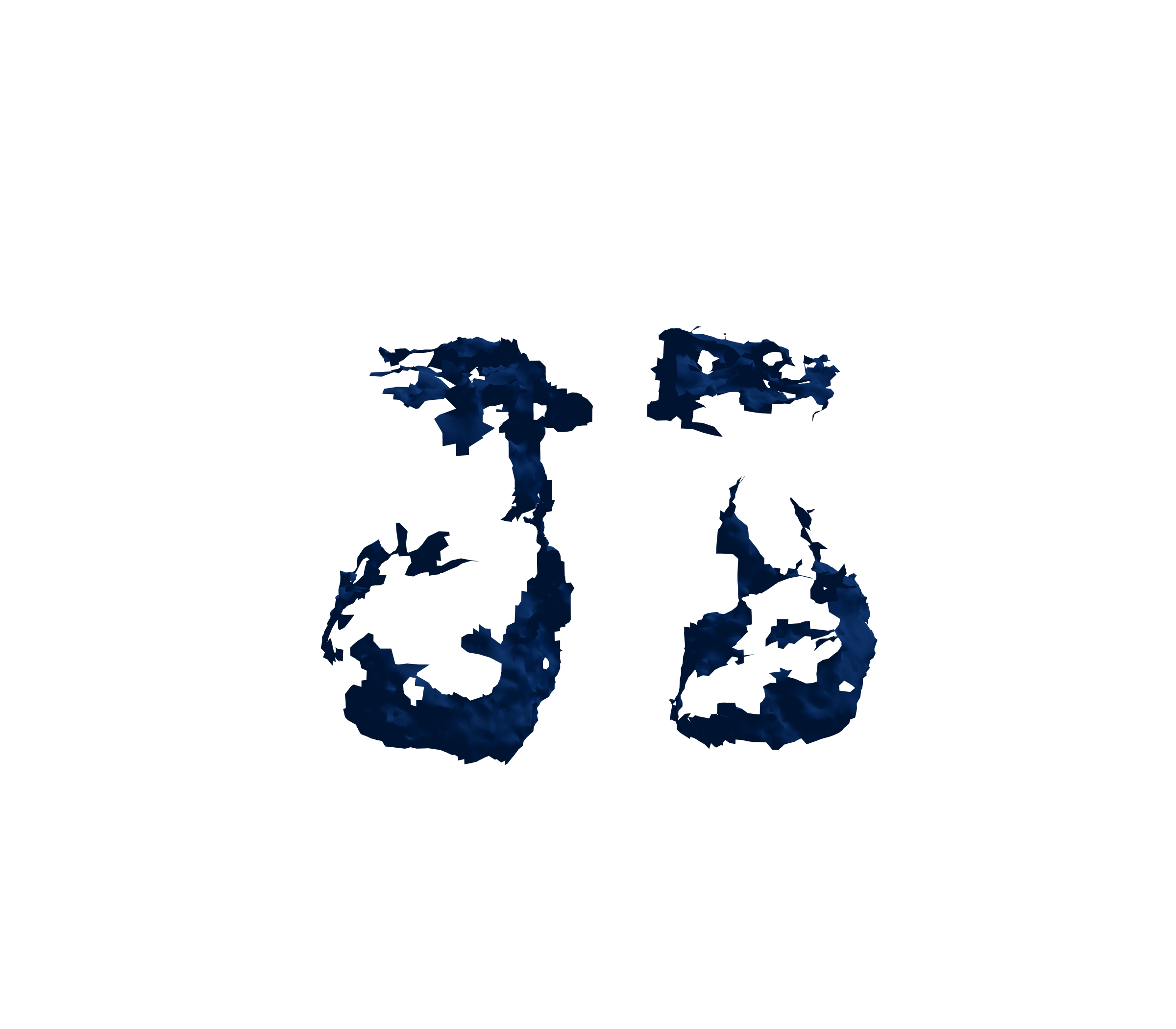 Surface Mesh (Inspiration) - Front View