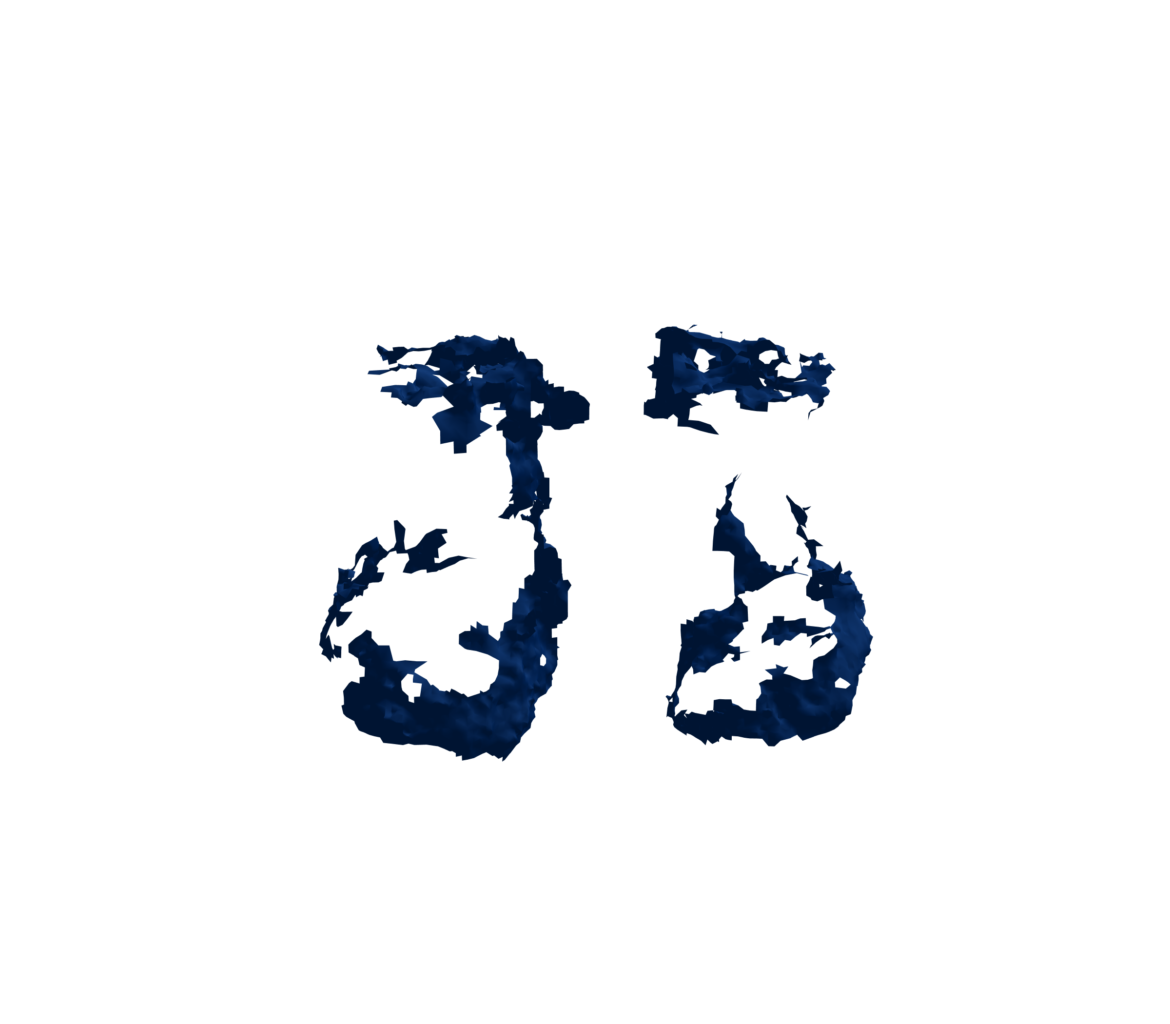 Surface Mesh (Inspiration) - Front View