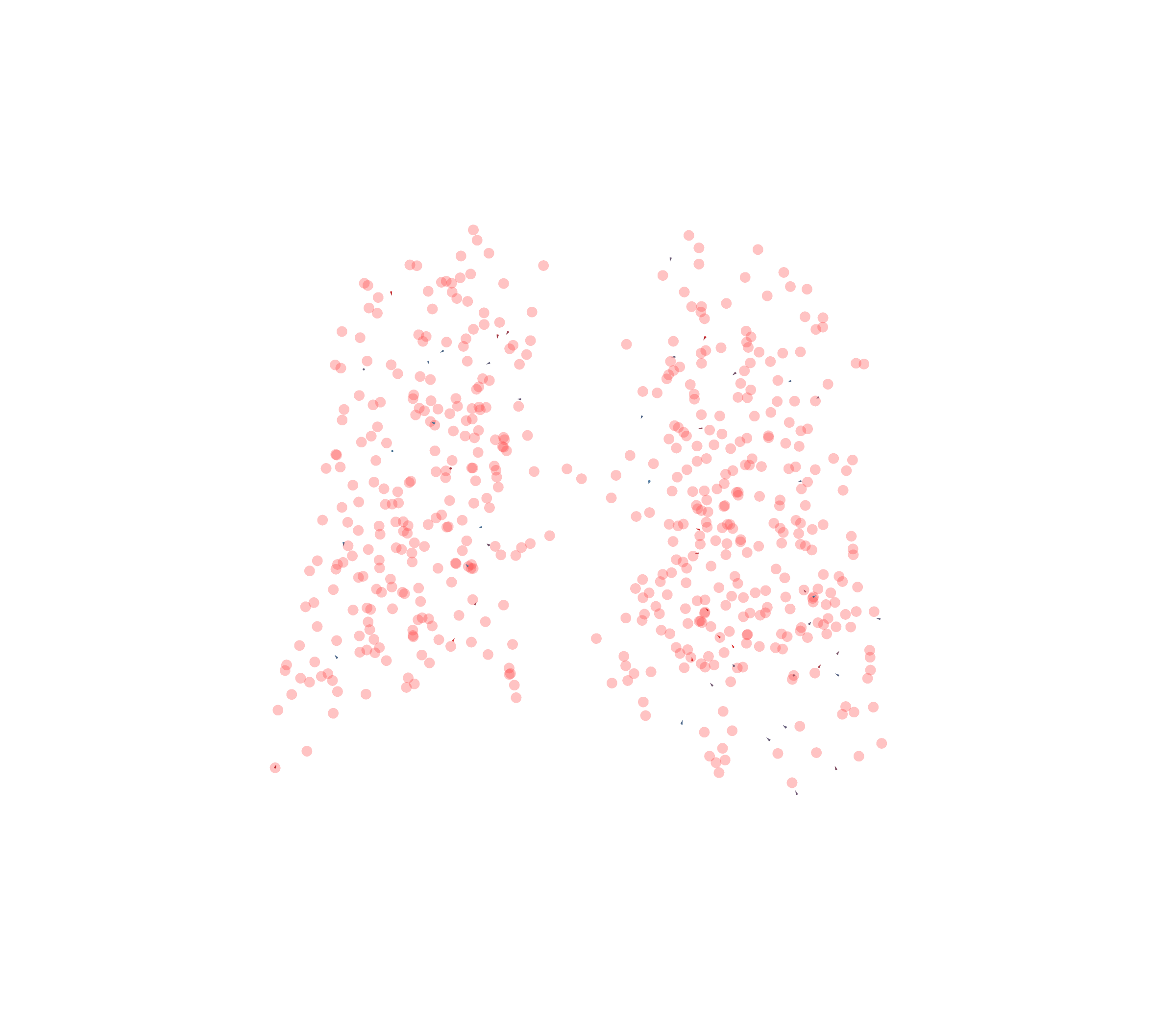 Displacement Vectors - Back View
