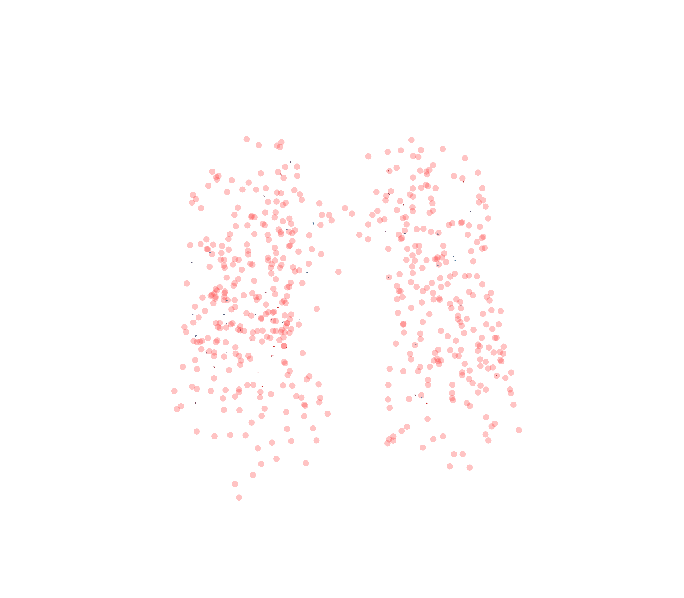 Displacement Vectors - Front View