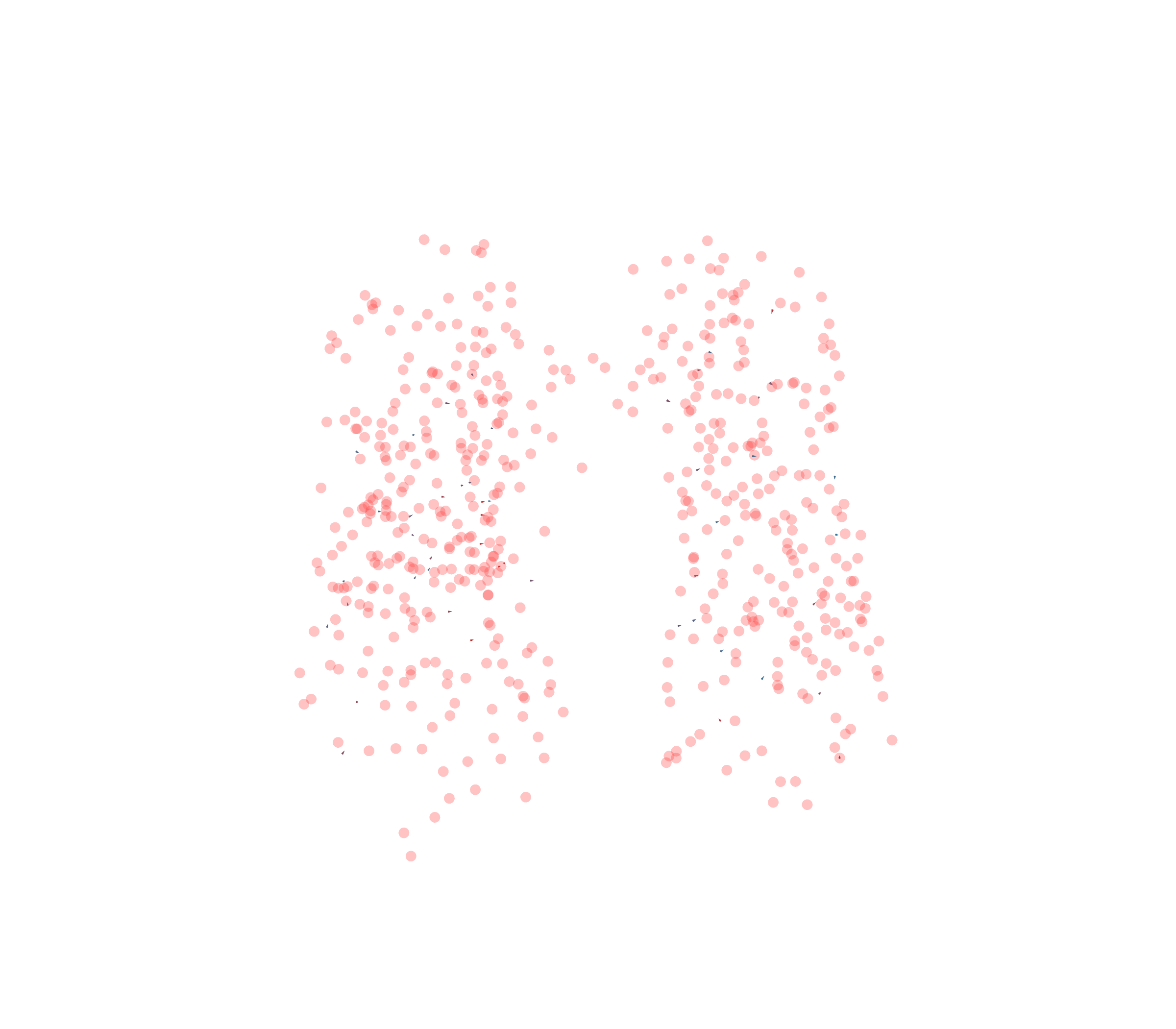 Displacement Vectors - Front View
