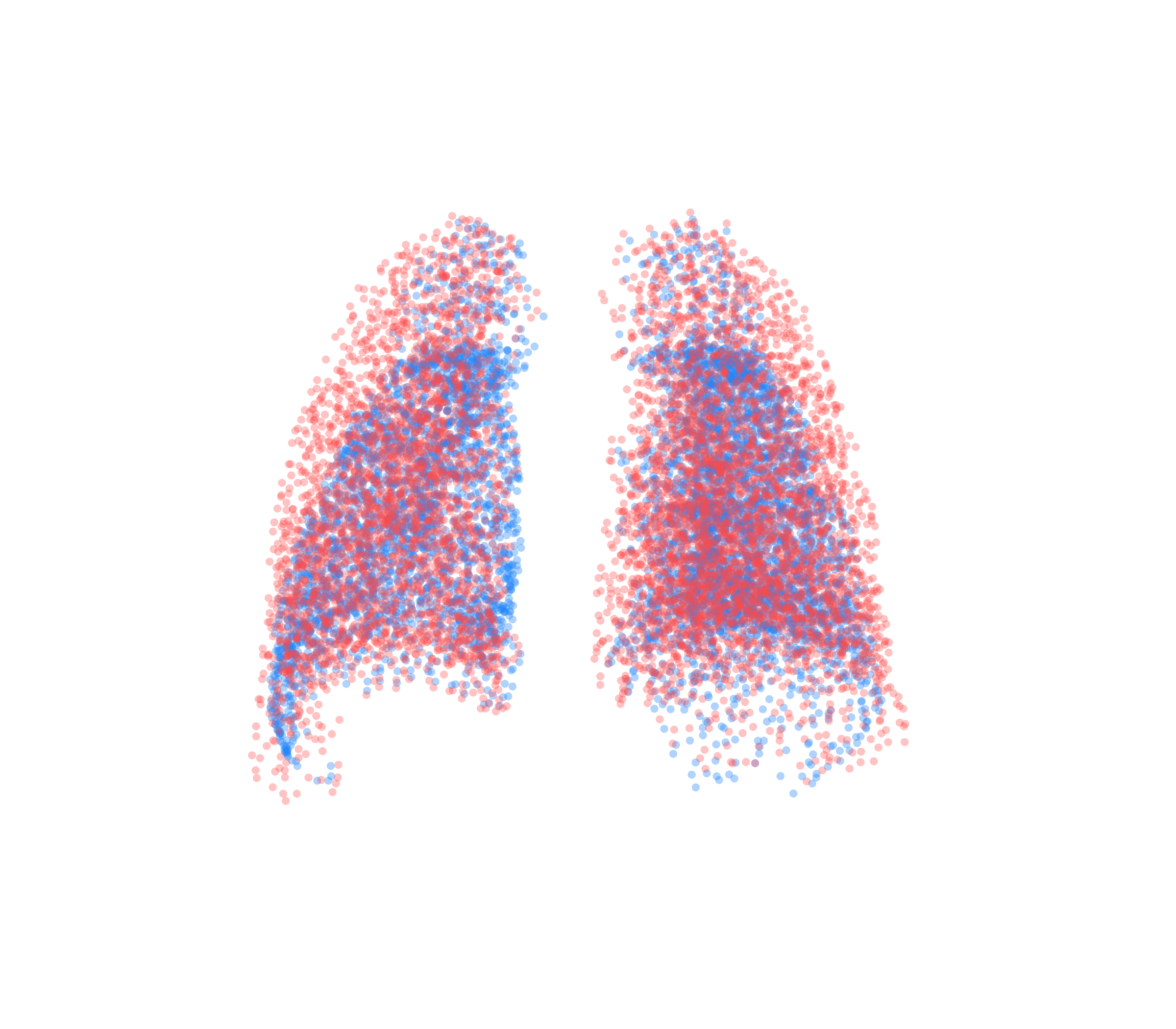 Point Cloud - Back View