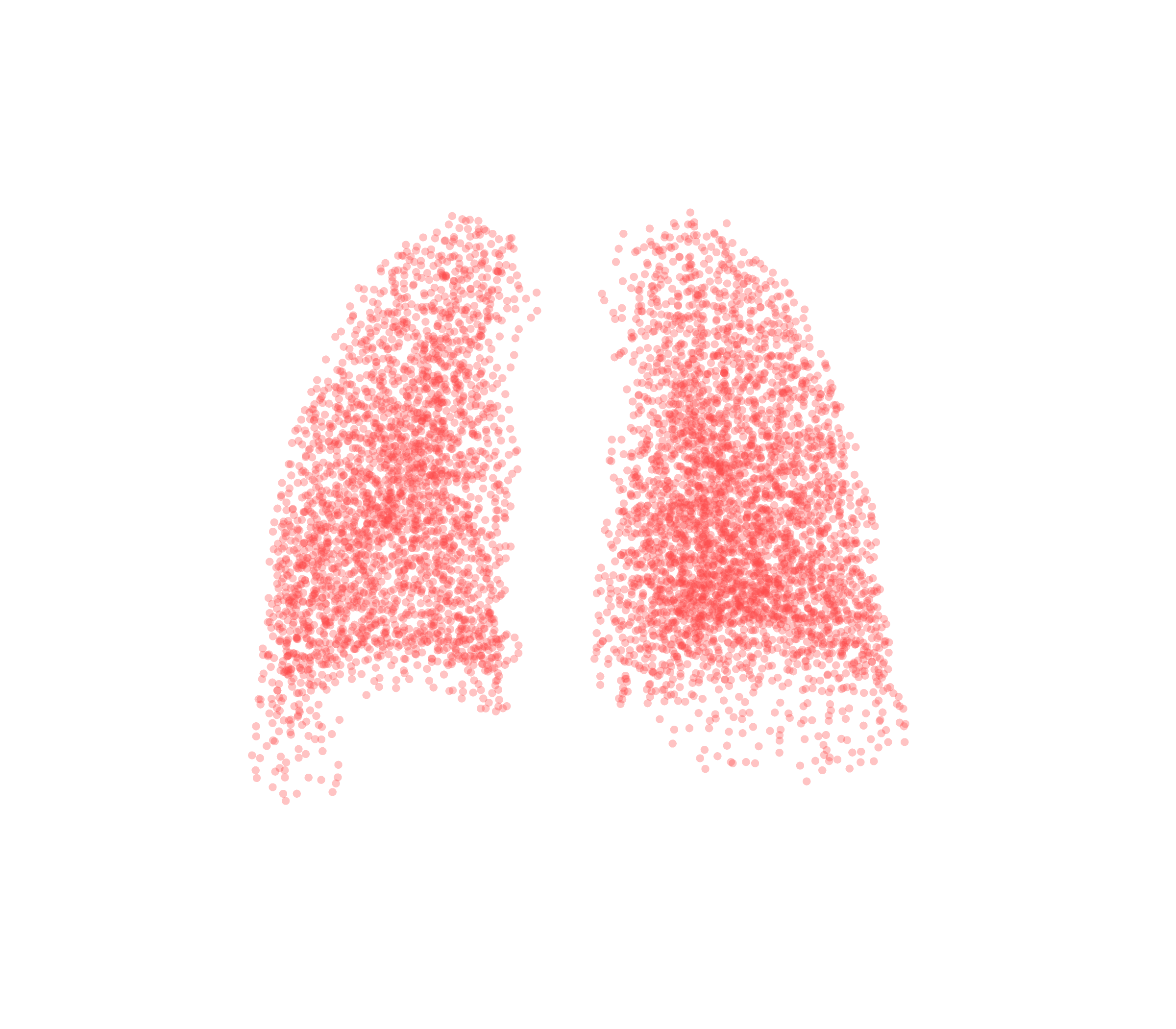 Point Cloud (Expiration) - Back View