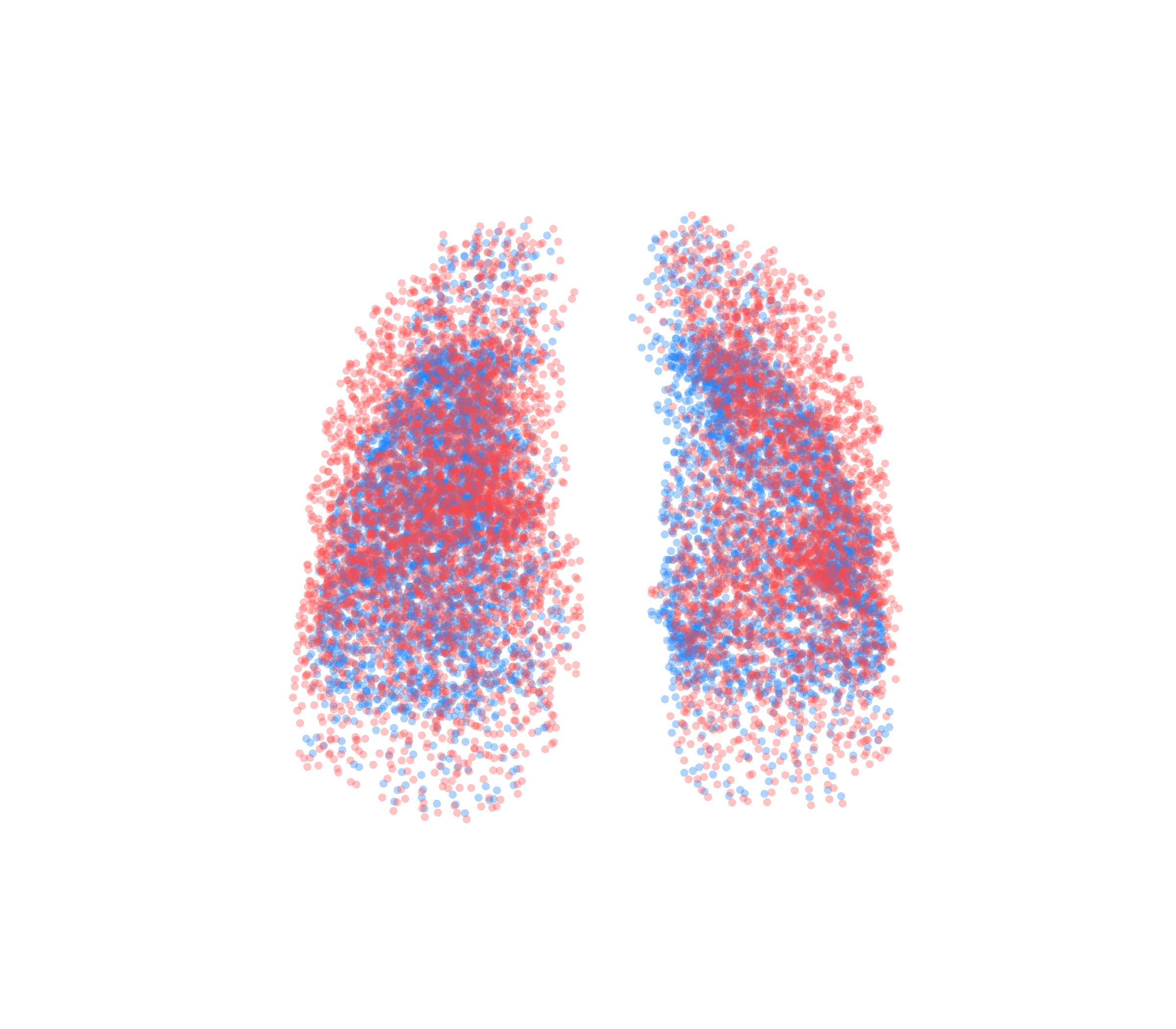 Point Cloud - Front View