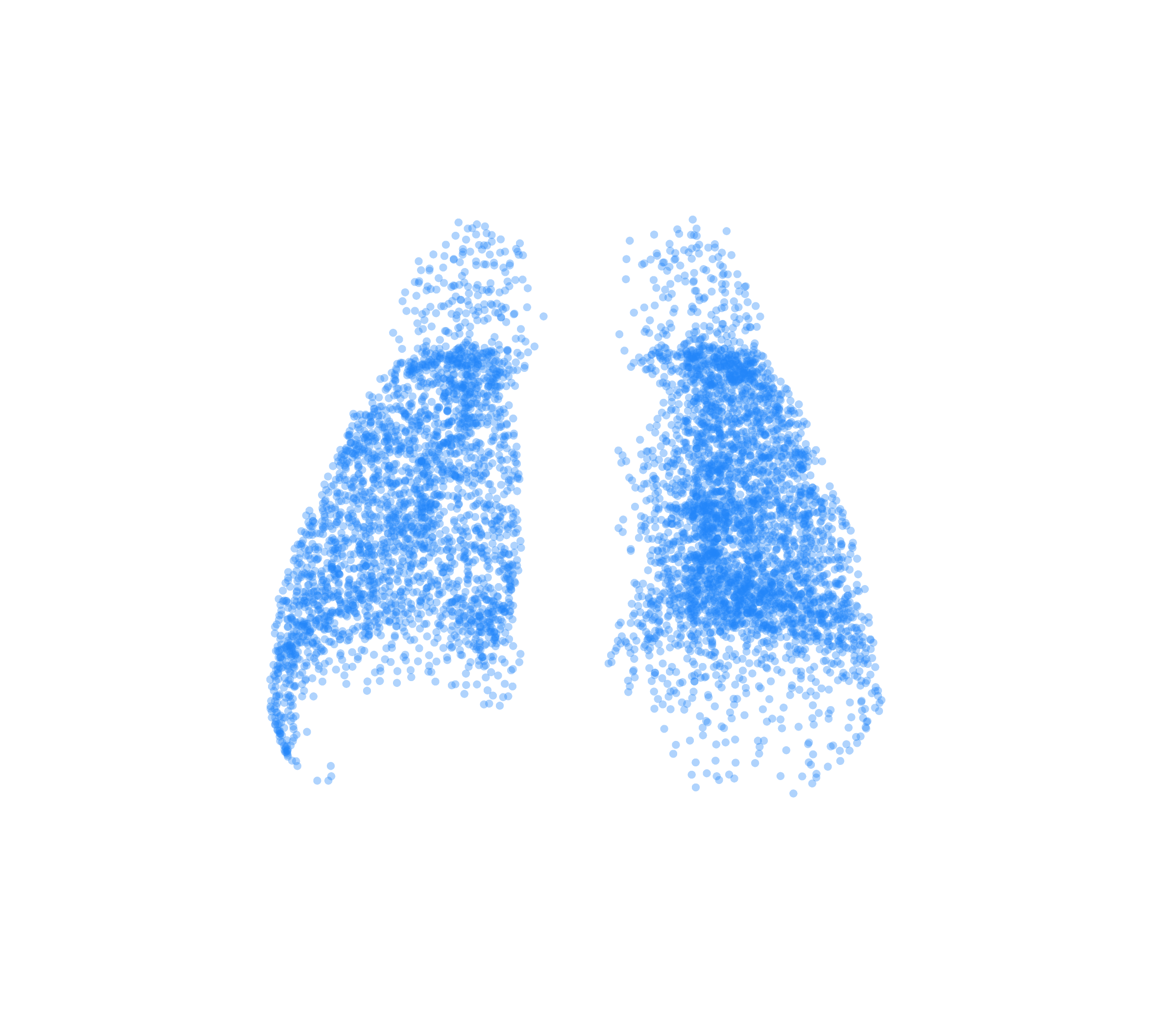 Point Cloud (Inspiration) - Back View