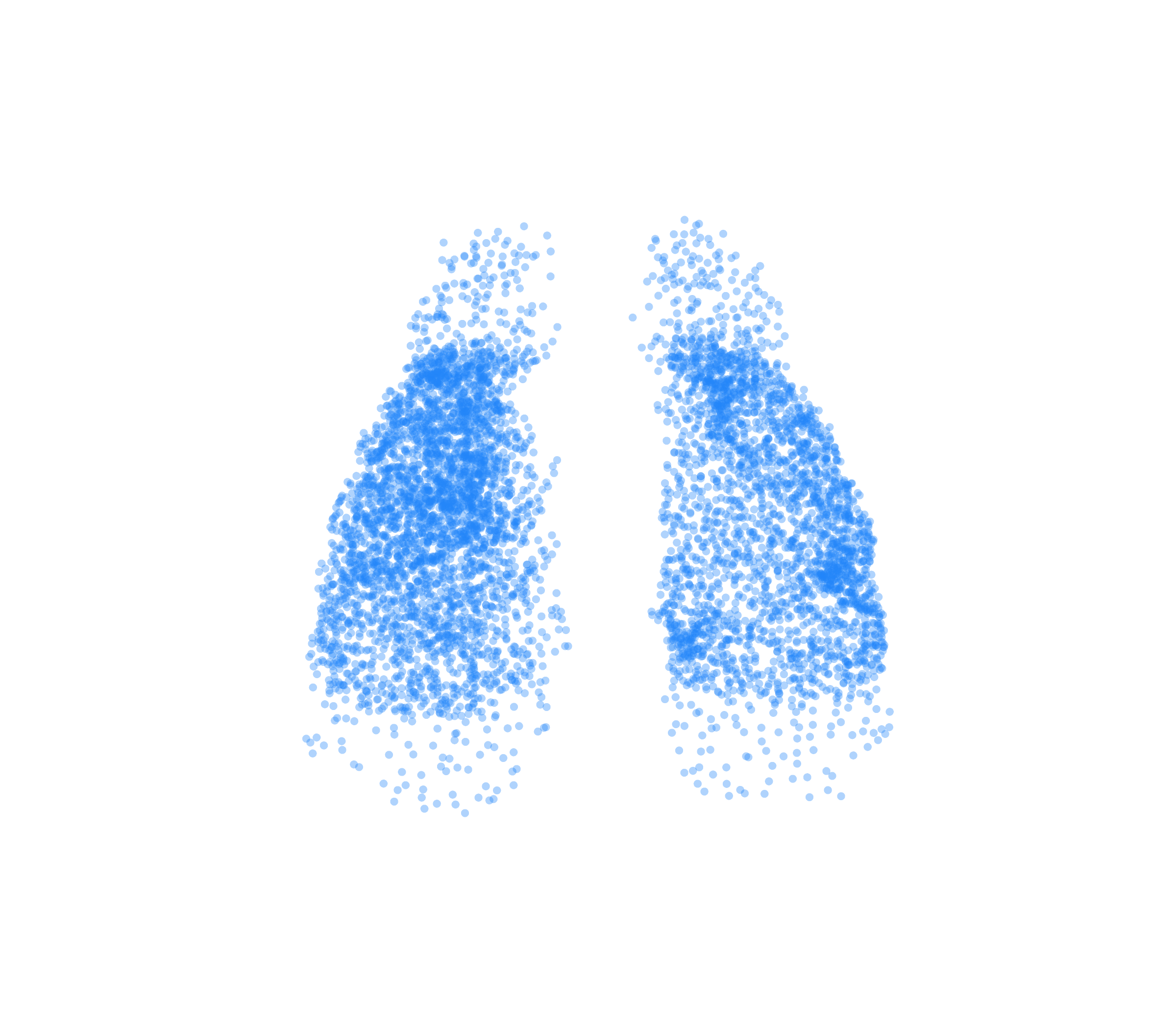 Point Cloud (Inspiration) - Front View