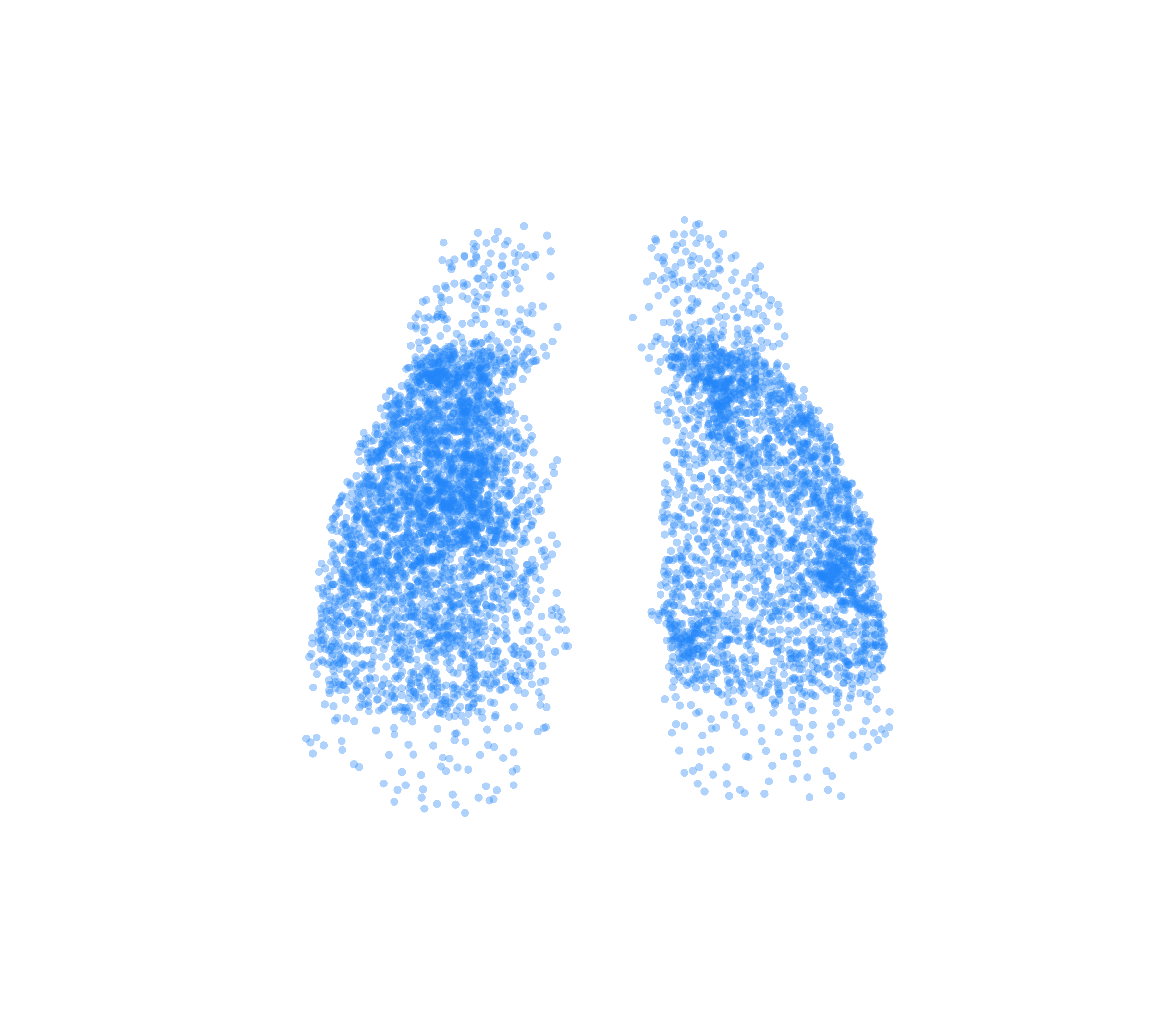 Point Cloud (Inspiration) - Front View
