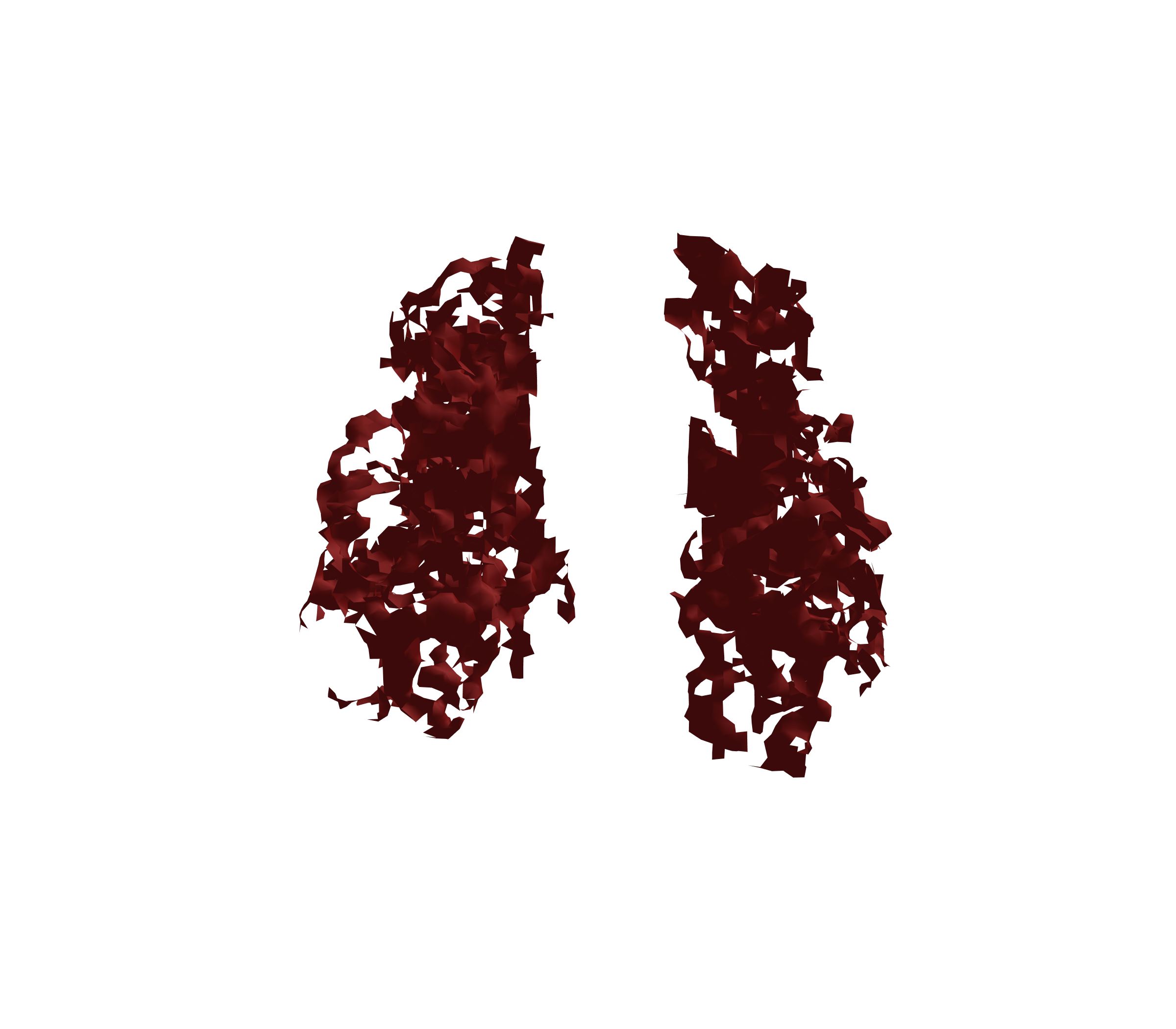 Surface Mesh (Expiration) - Front View