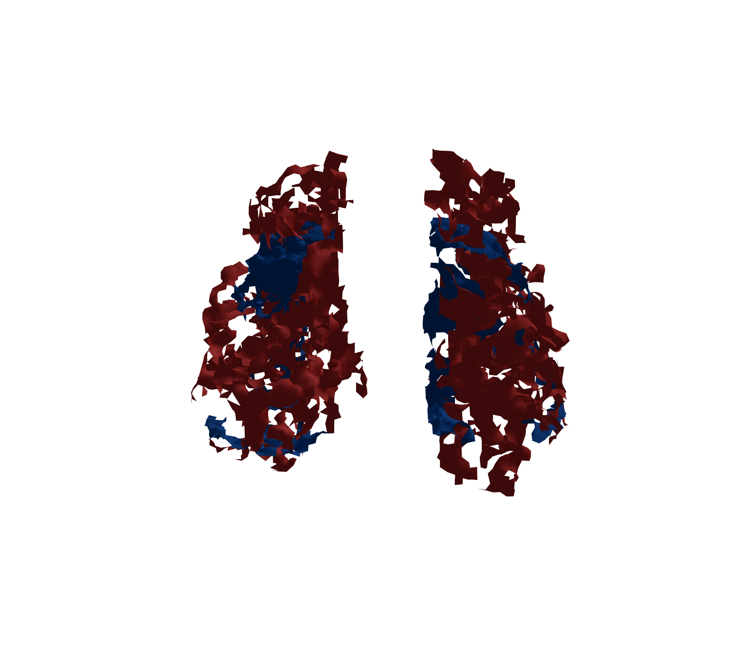 Surface Mesh - Front View