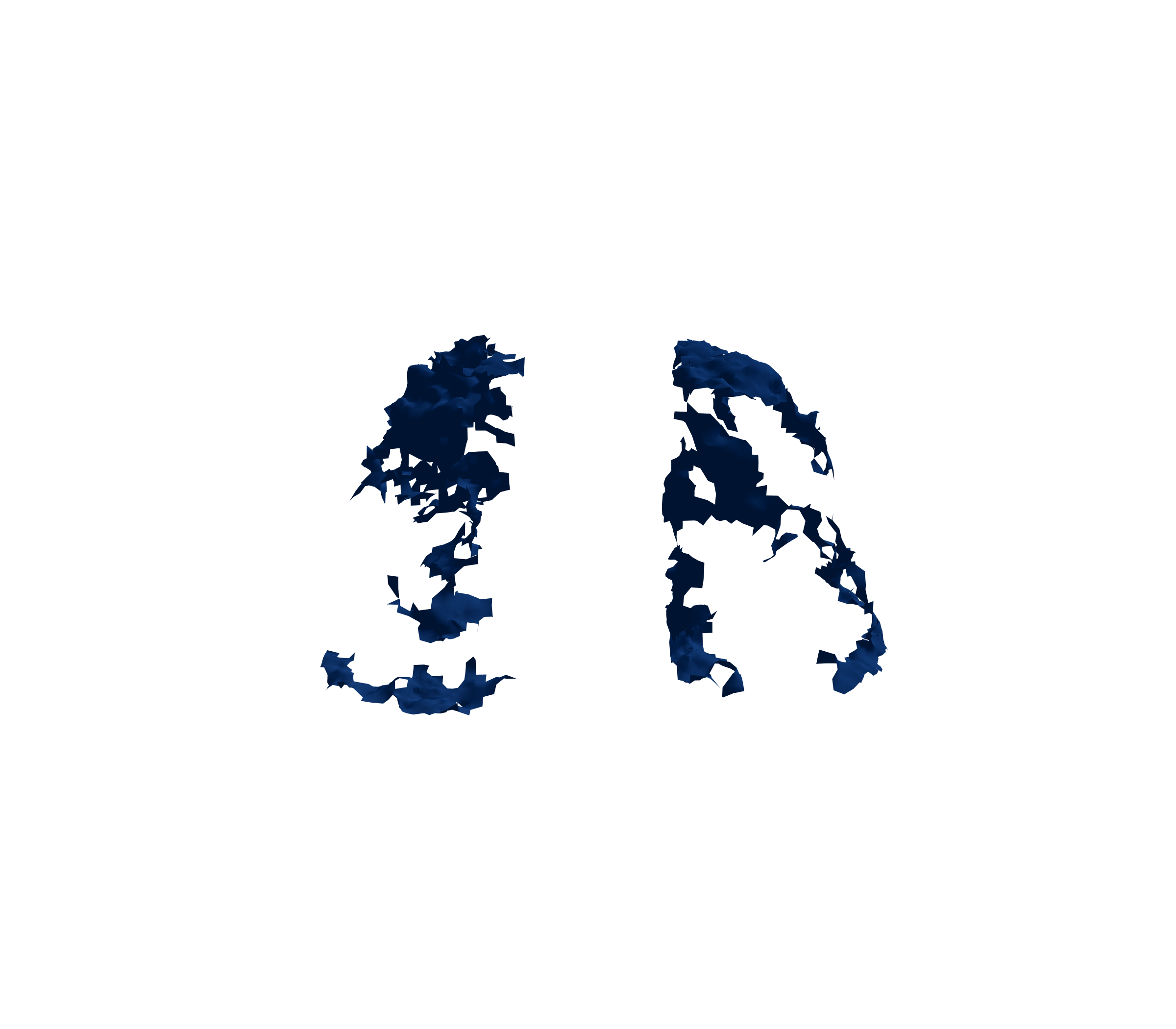 Surface Mesh (Inspiration) - Front View