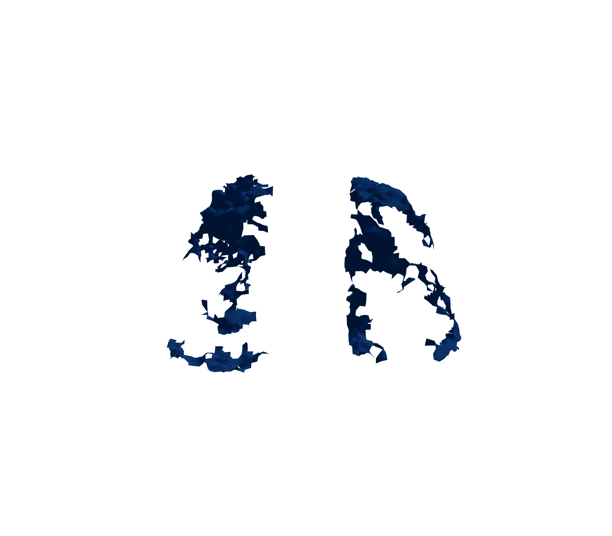 Surface Mesh (Inspiration) - Front View