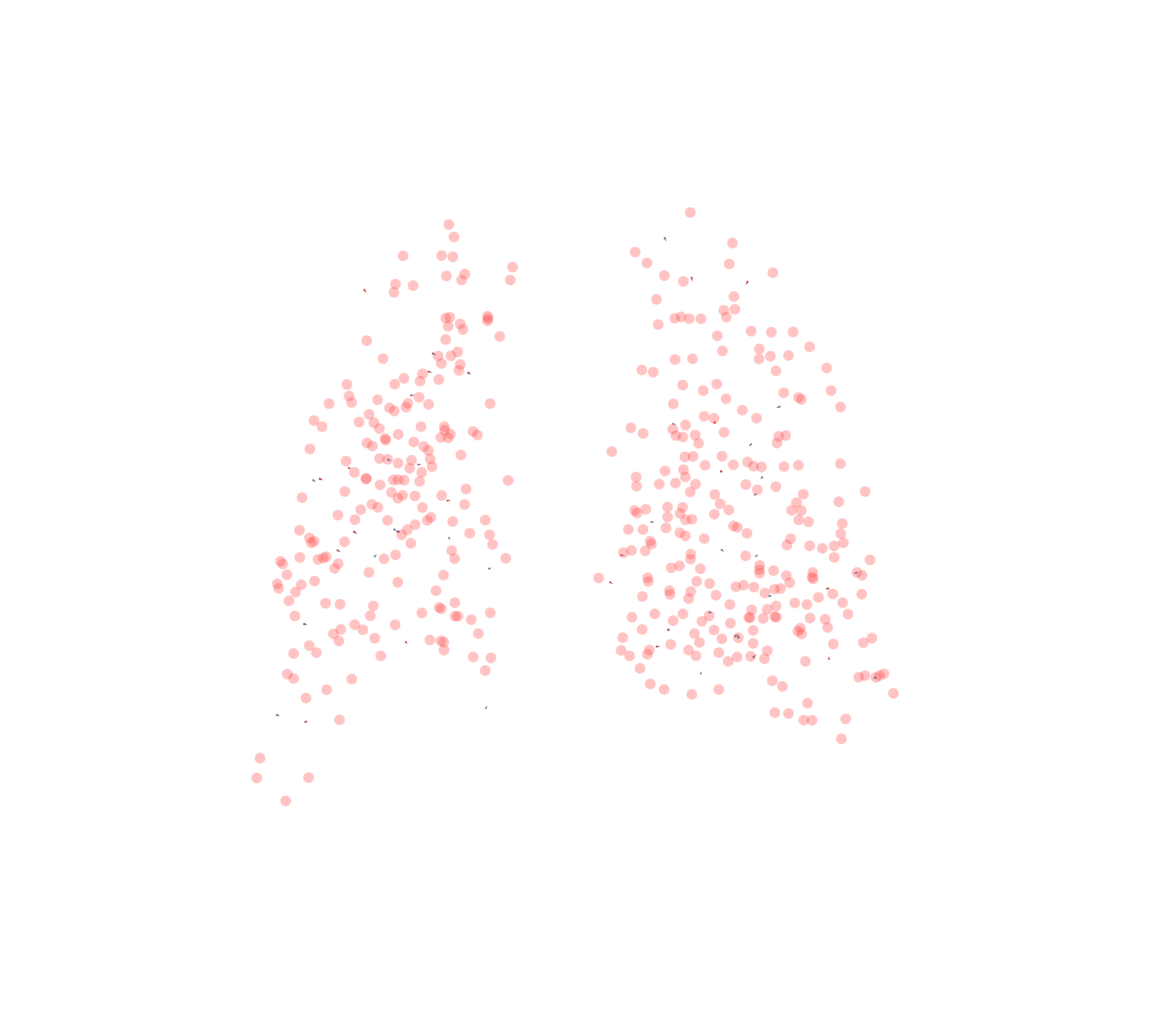 Displacement Vectors - Back View