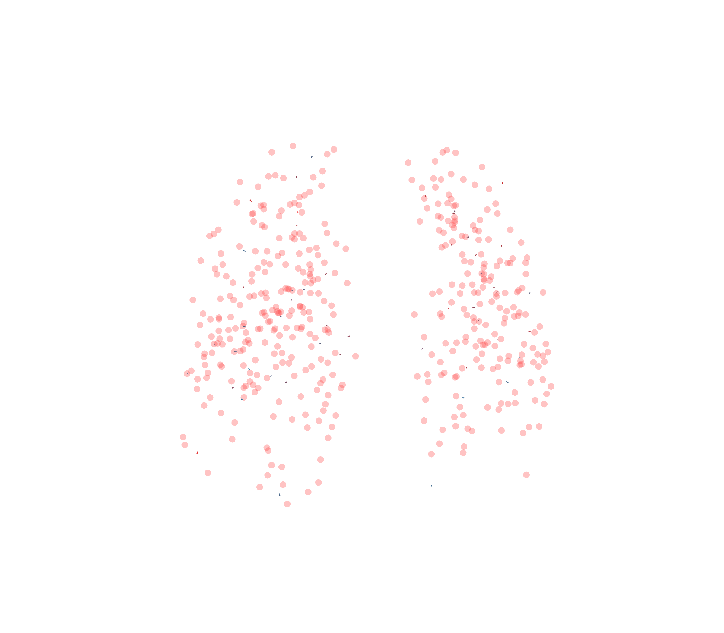 Displacement Vectors - Front View