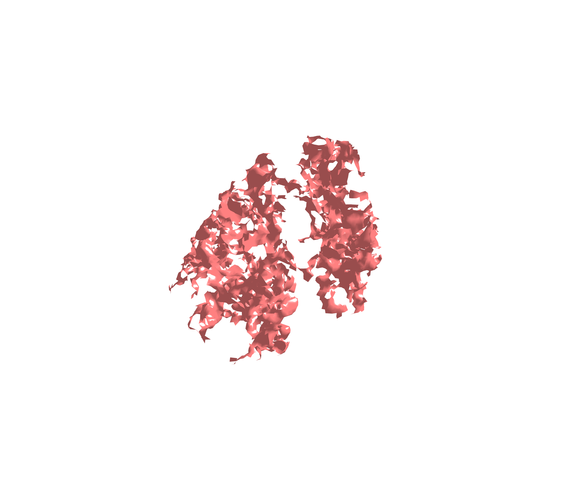 Surface (Expiration) - Diagonal View