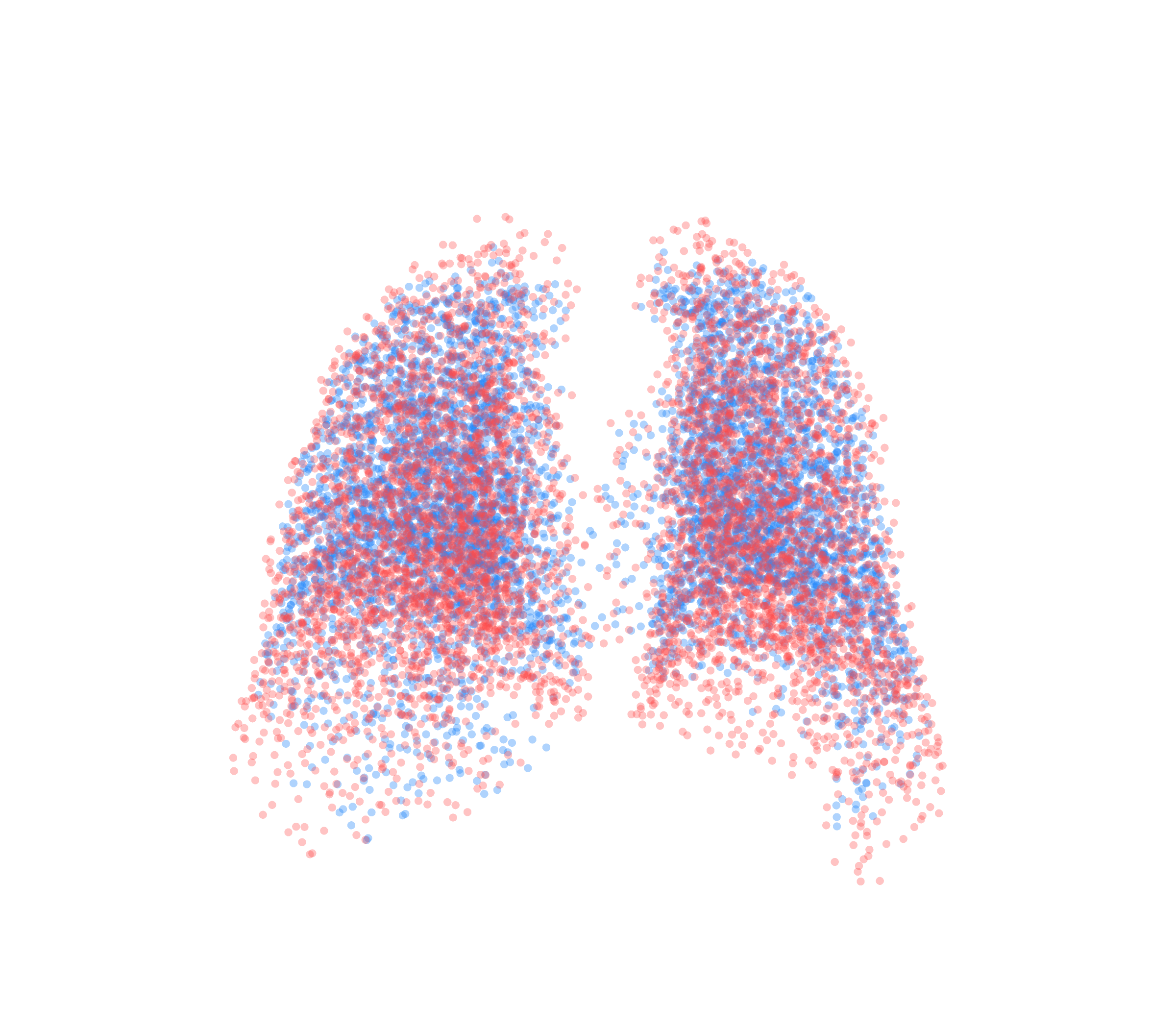 Point Cloud - Back View