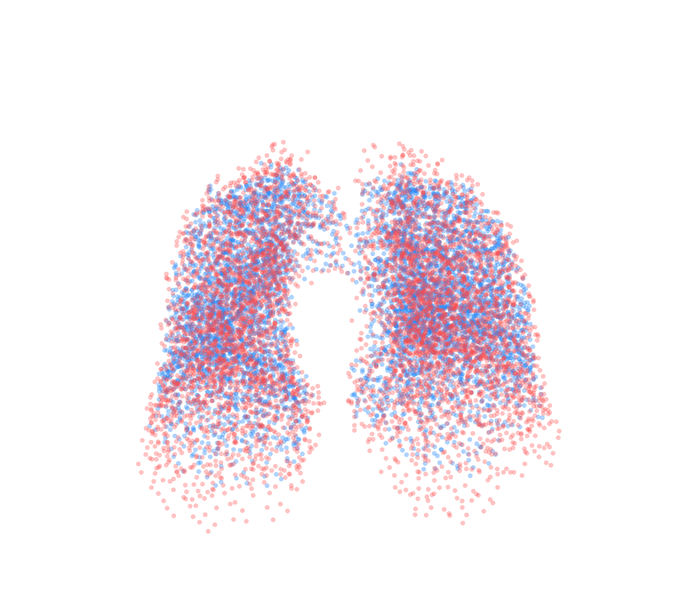 Point Cloud - Front View