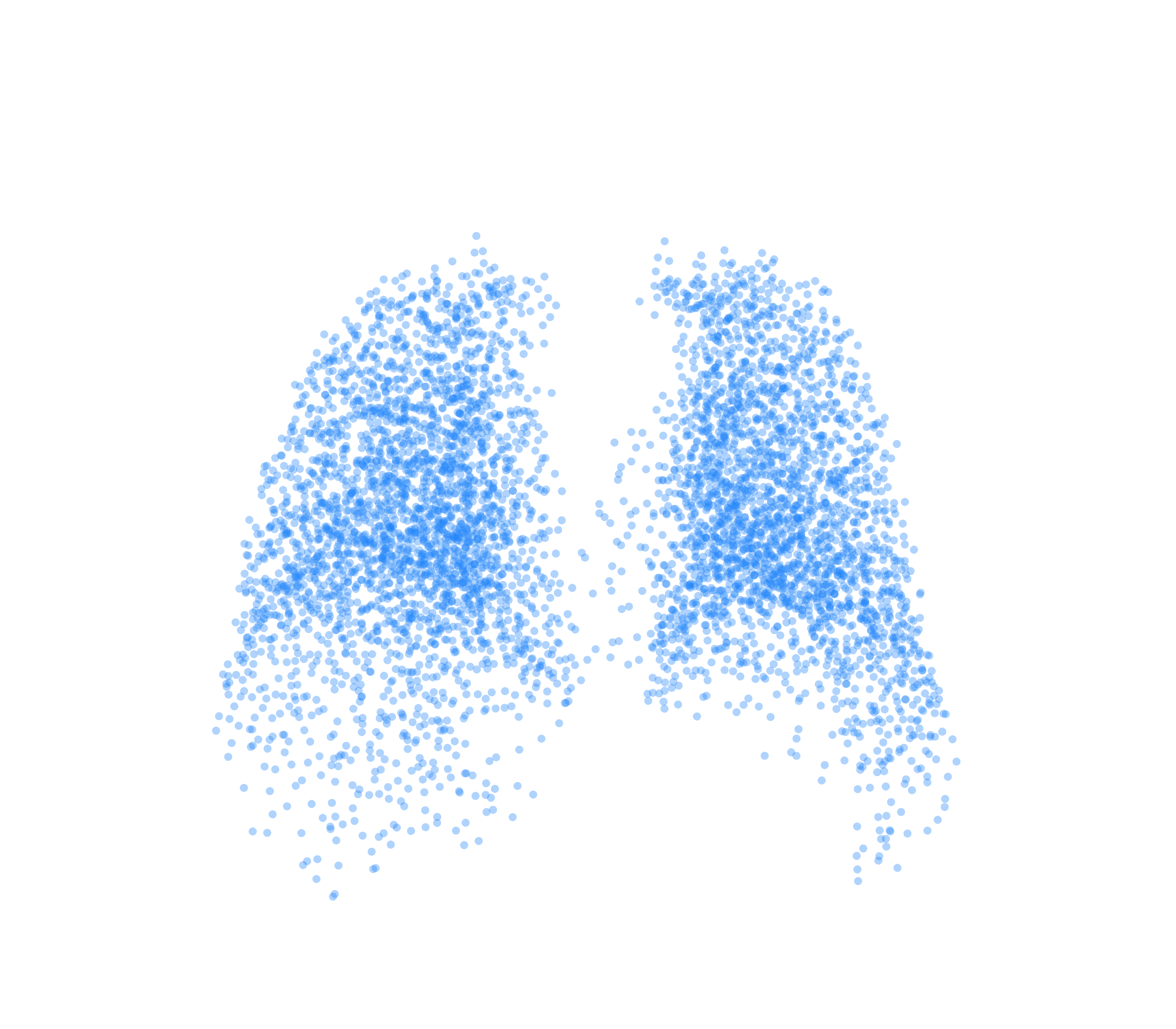 Point Cloud (Inspiration) - Back View